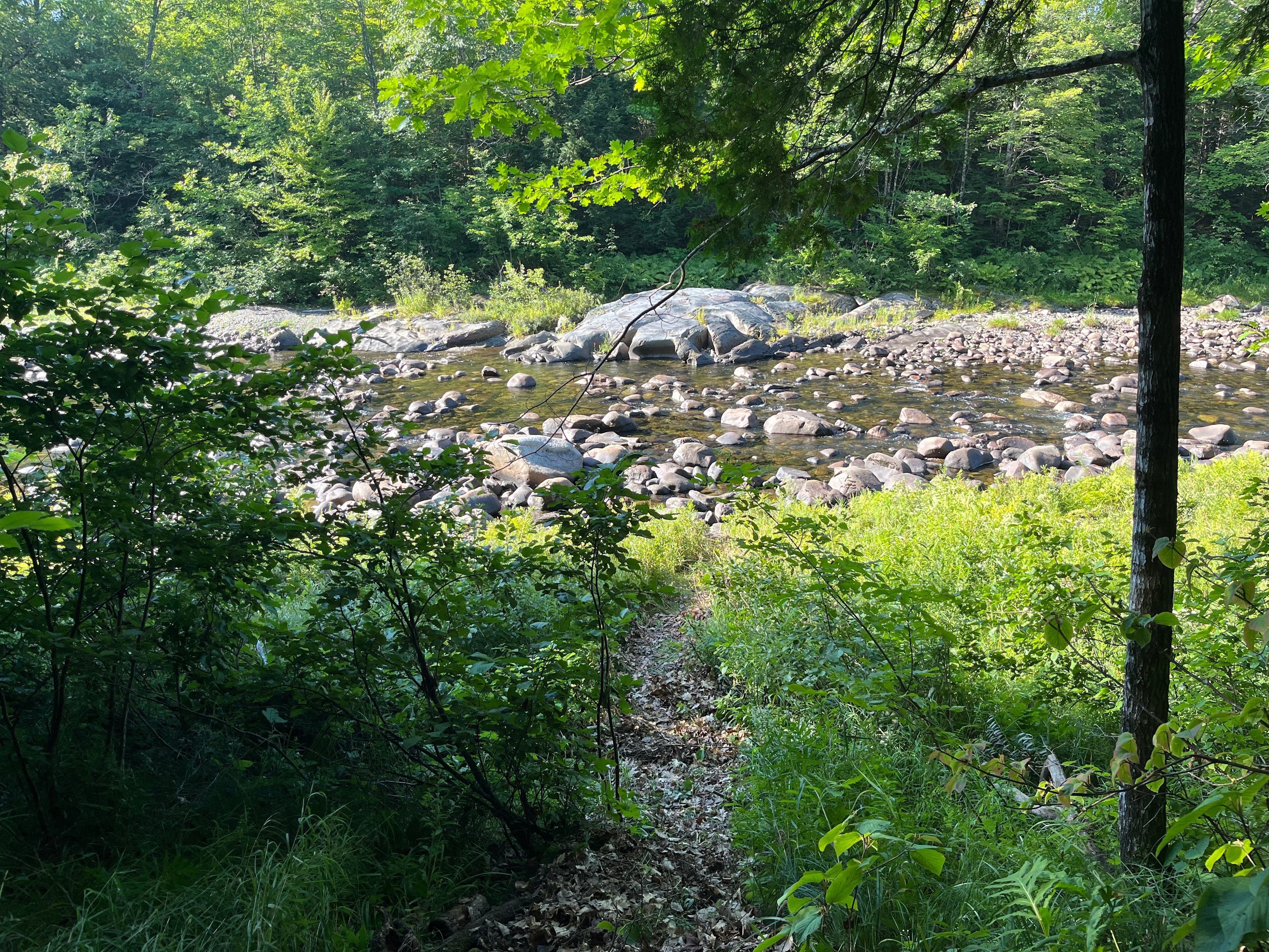 Where’s The Moose?