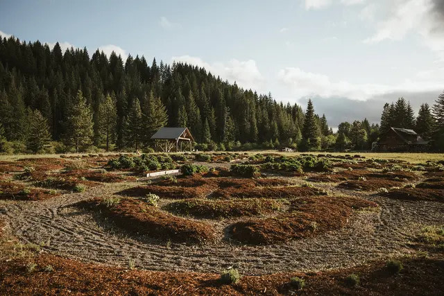 Cave Creek Farm