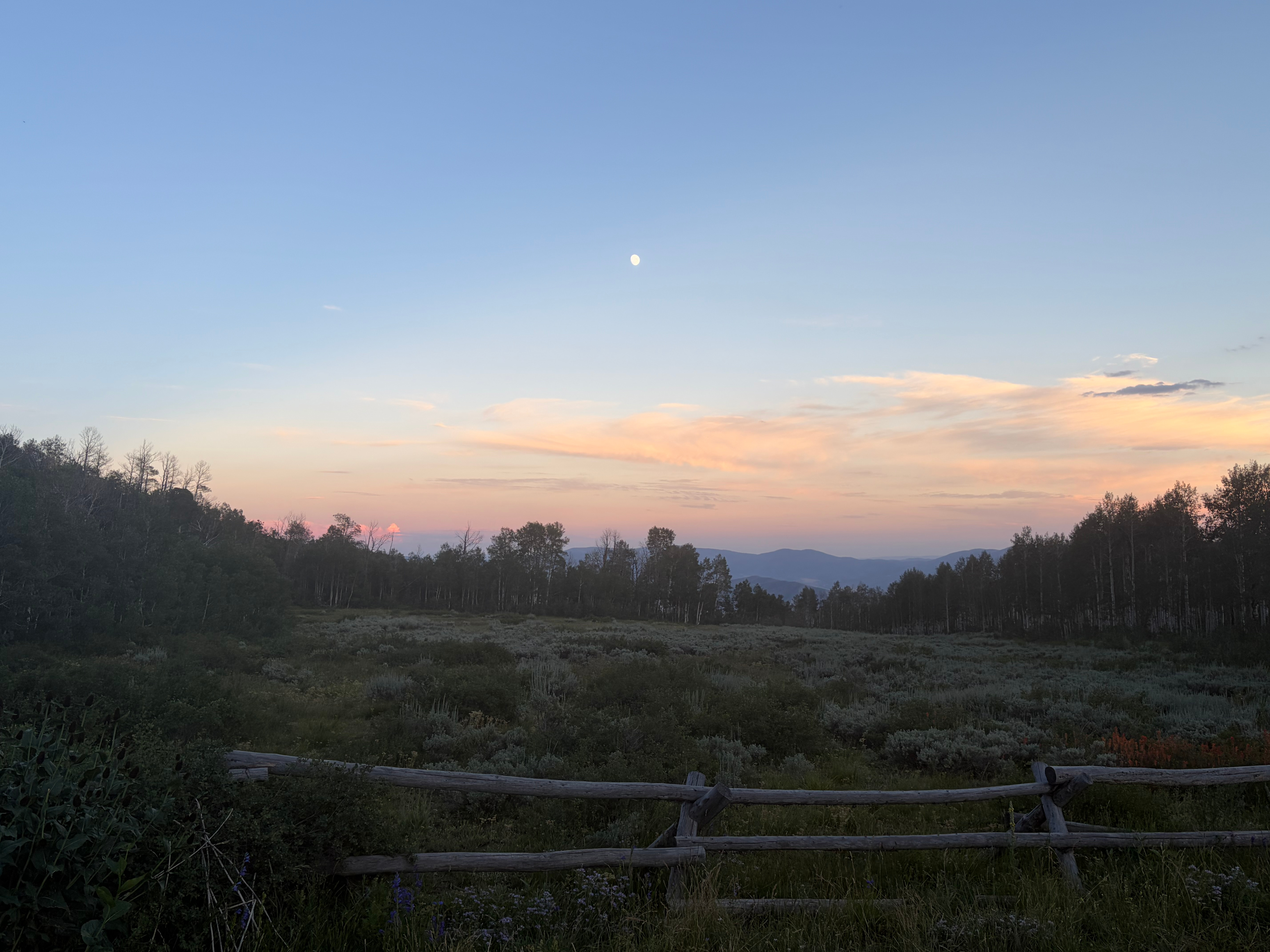 The property is located next to the Bonanza flats conservation area, which includes the bonanza flat loop and wow trailhead access. 