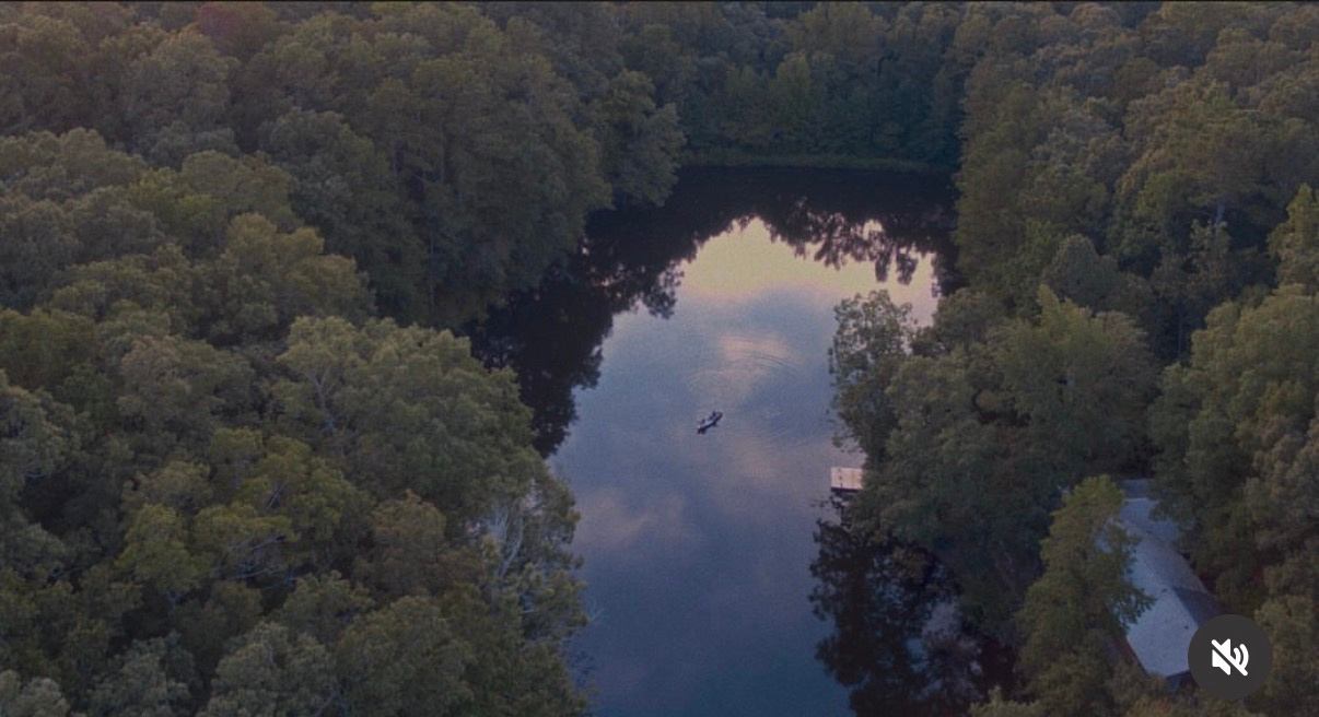 Hummingbird Hollow