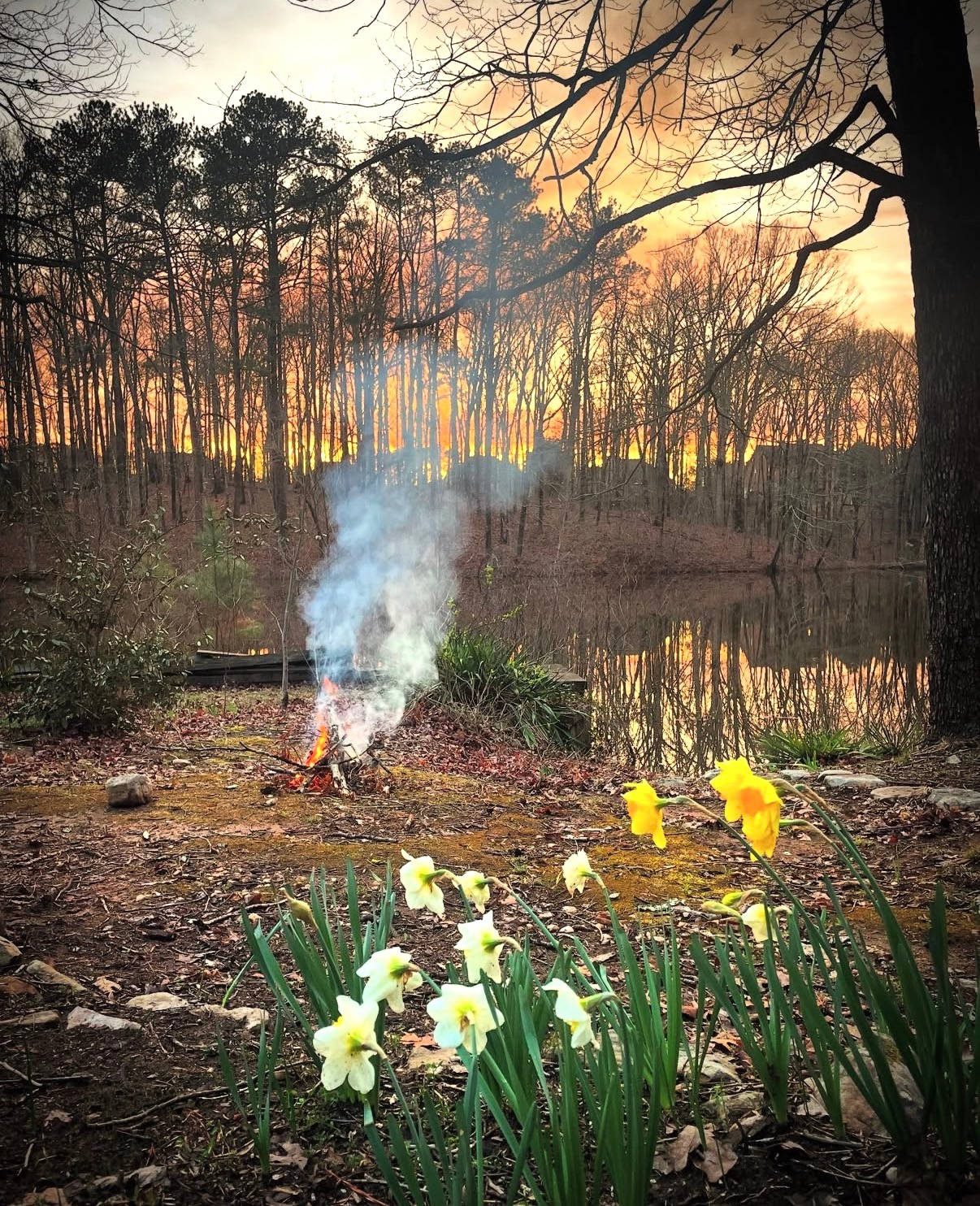 Hummingbird Hollow