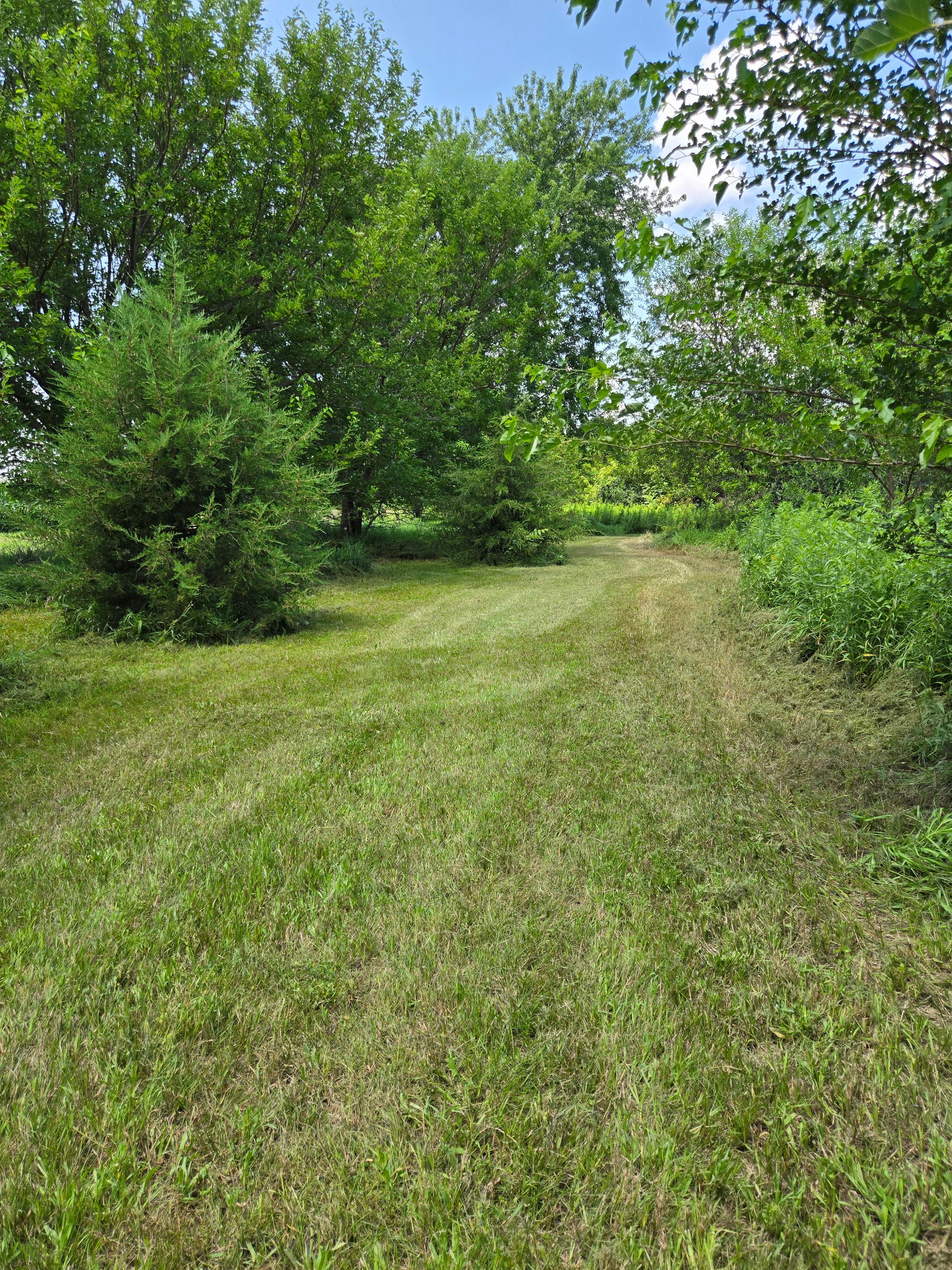 Goldfinch Acres