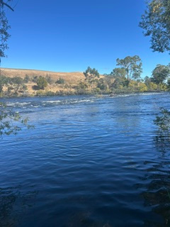 Peaceful Riverside Camping at Hays.