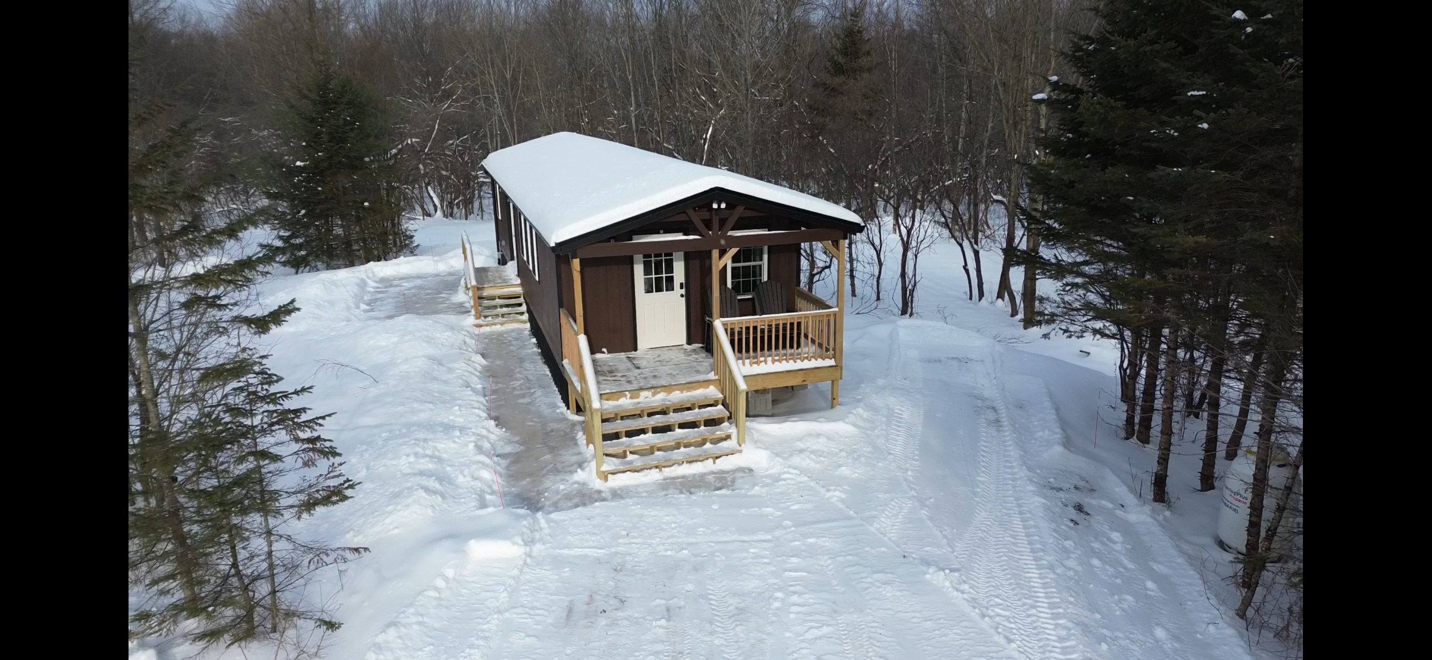 Tug Hill Pines