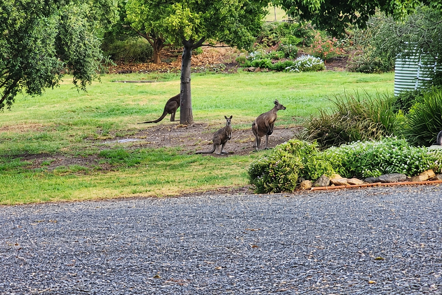 Eagles Nest Gundagai