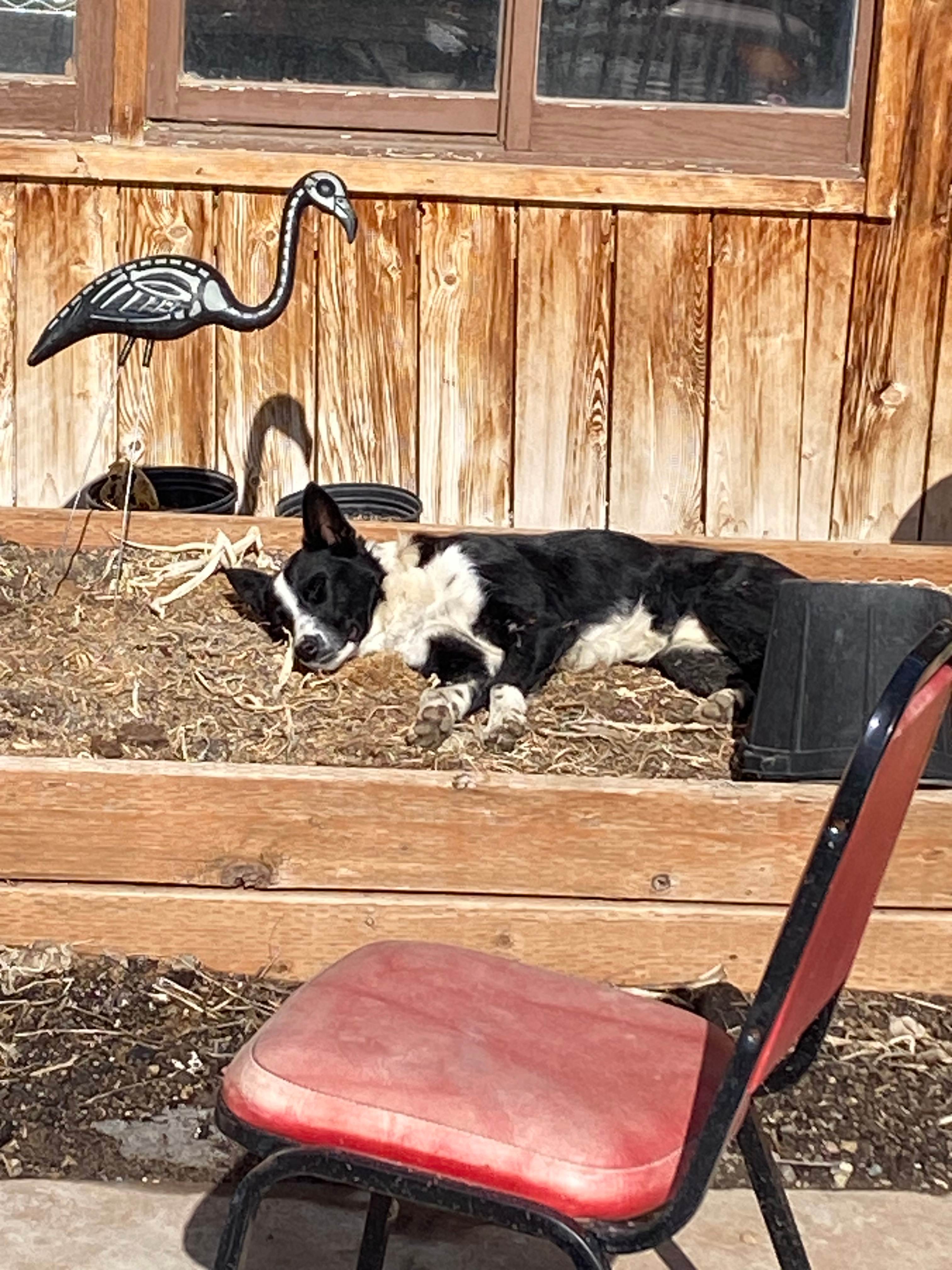 Hi-Line Kitchen Farm