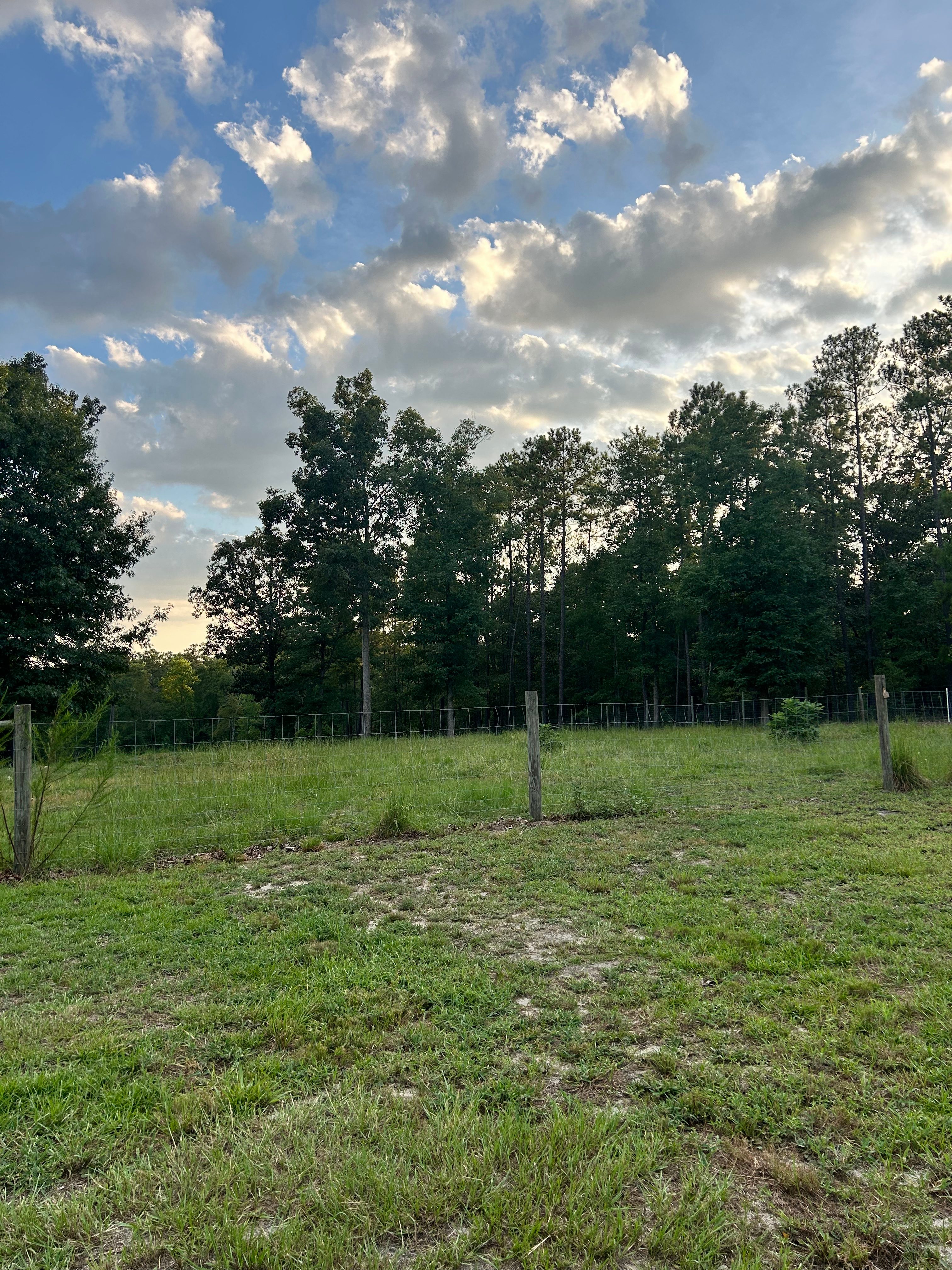 Uncle Si's Farm
