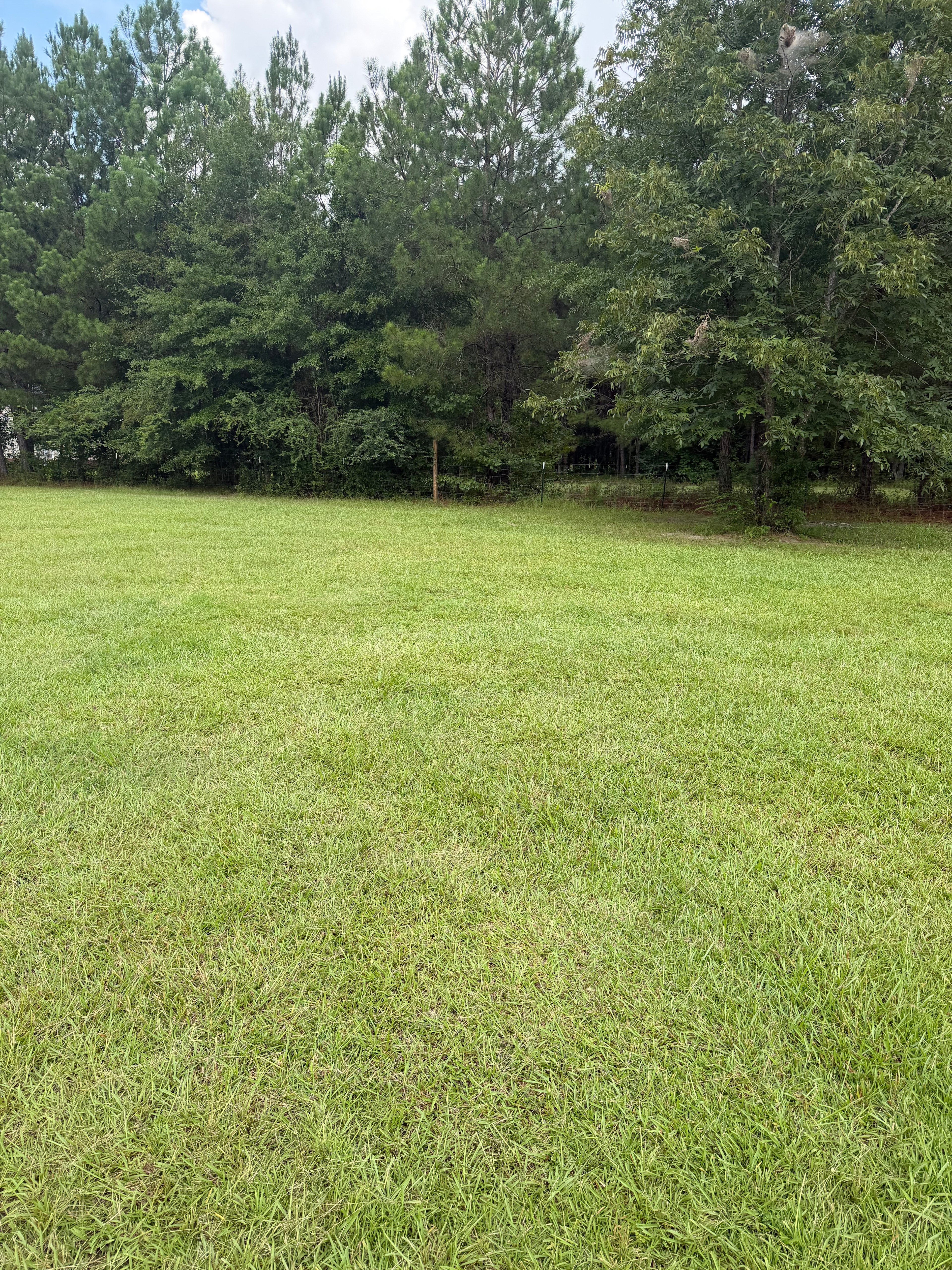 Quiet Harleyville Camp