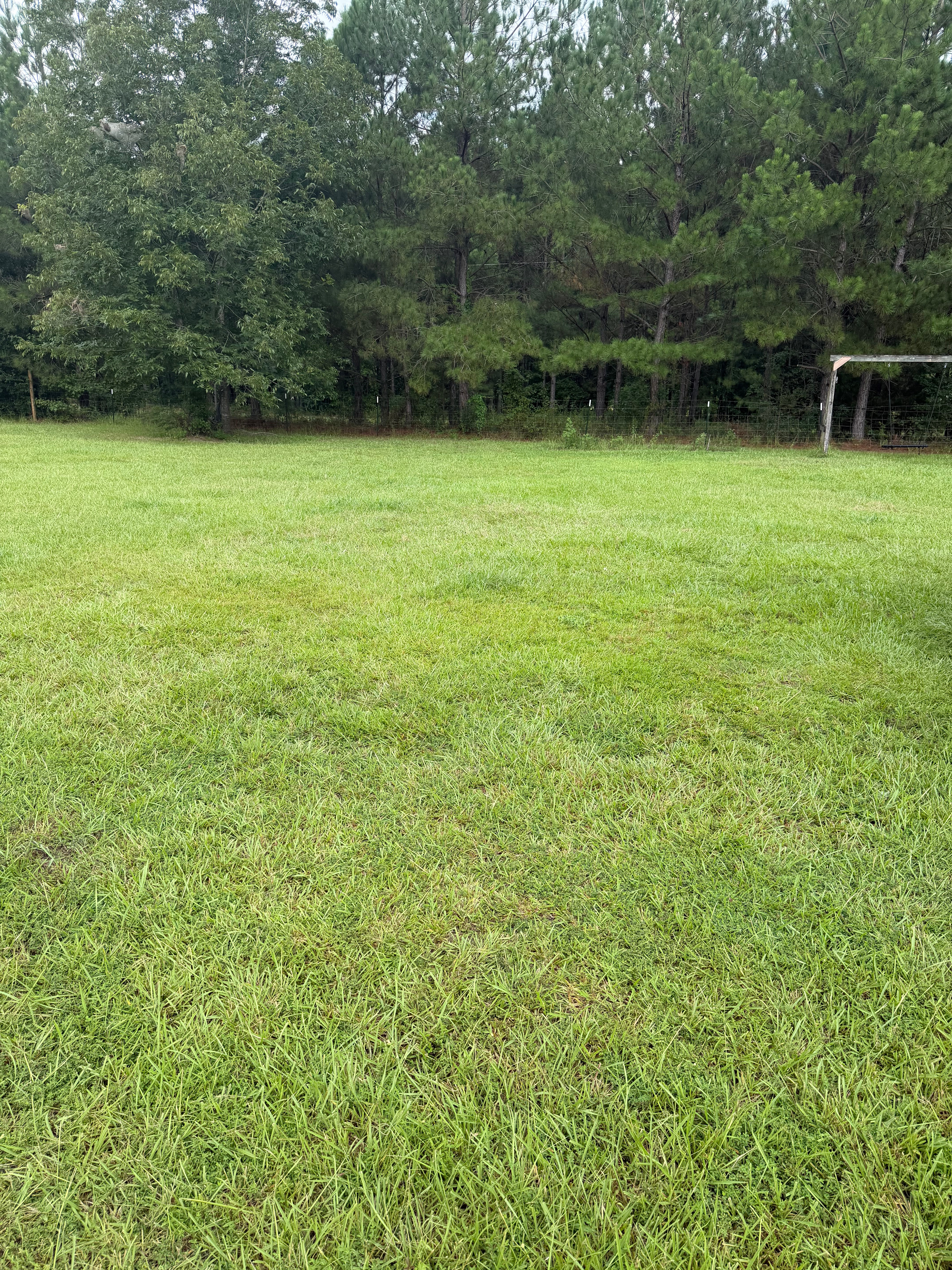 Quiet Harleyville Camp
