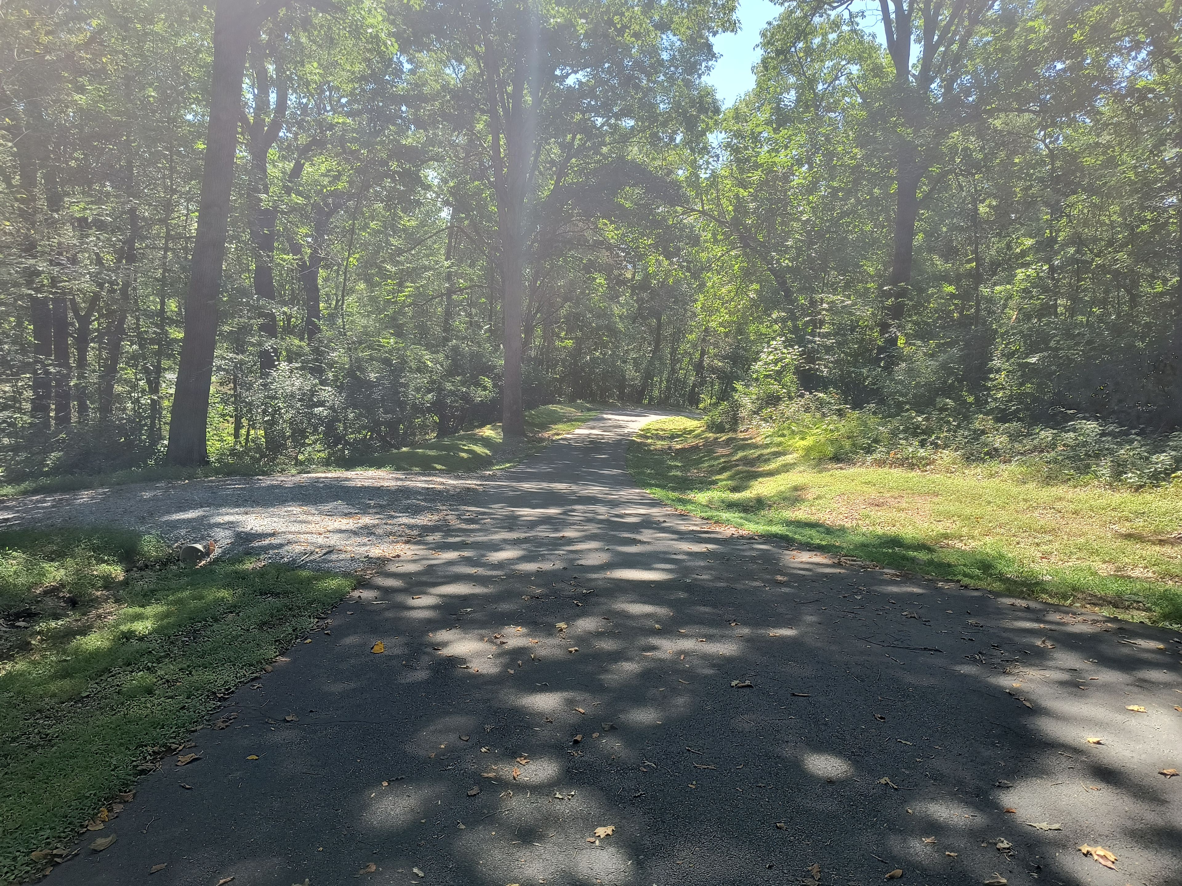 Pine Hill Hideaway