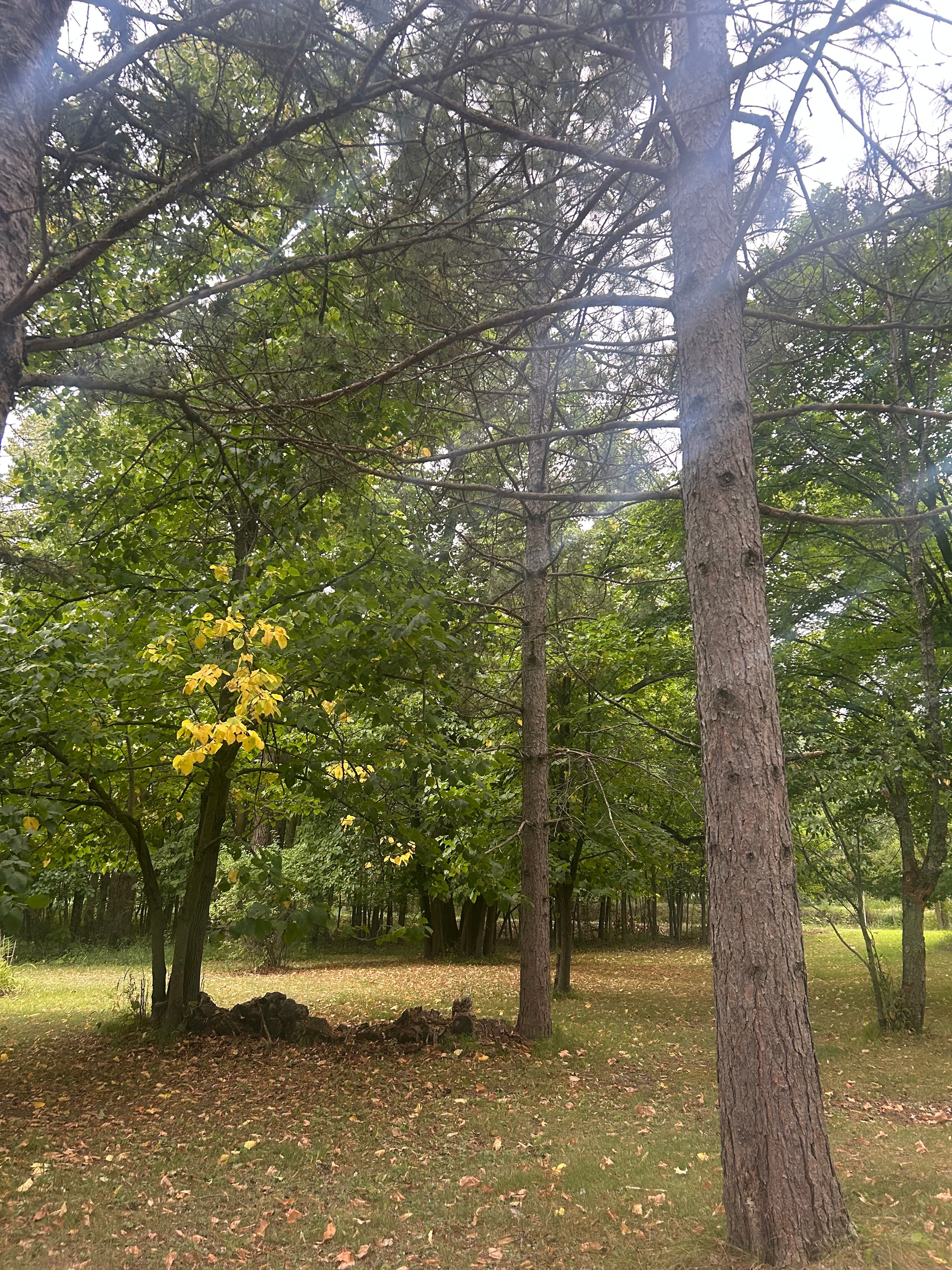 Off Grid Lake Camping with Kayaks on Paul Bunyon State Trail