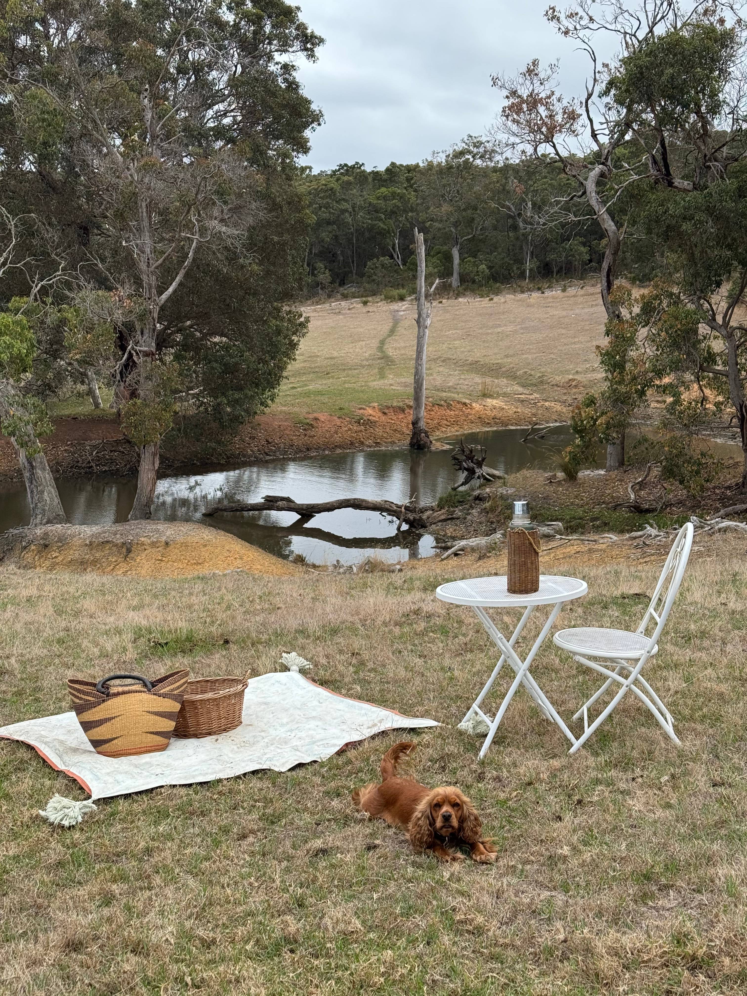 Gull Rock Farm