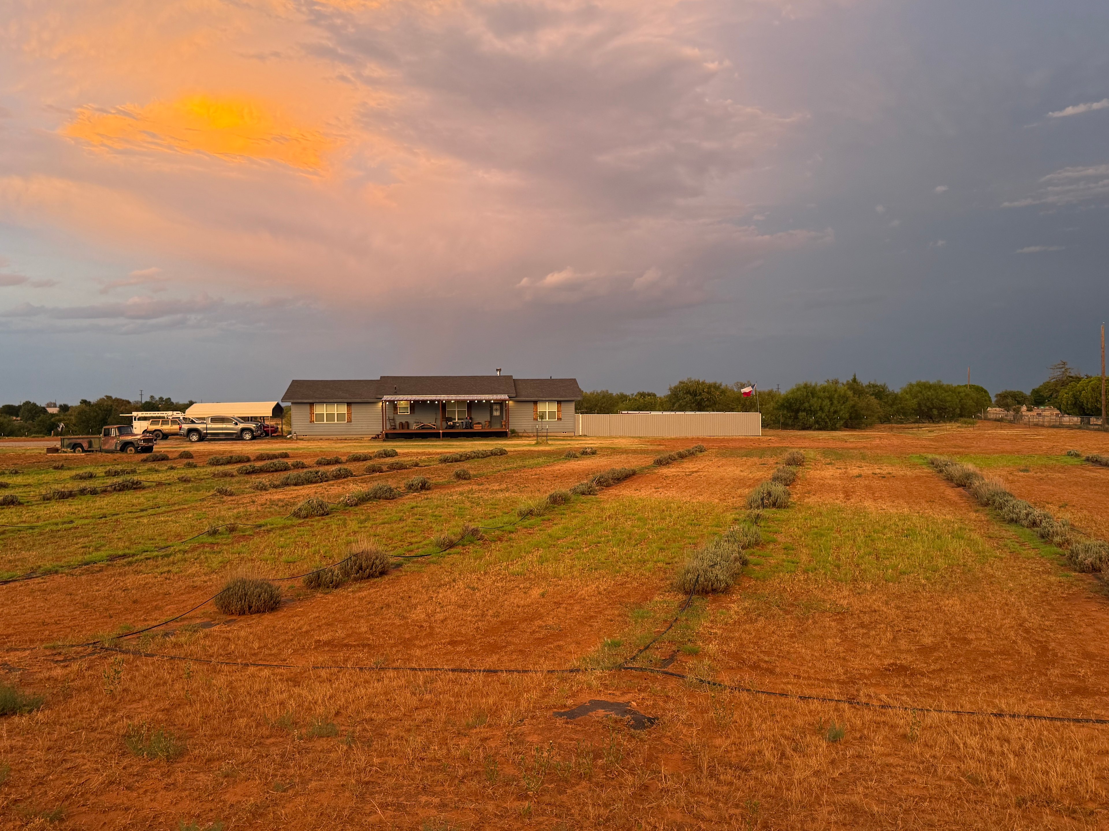 HerBeeList Lavender Farm & Apiary