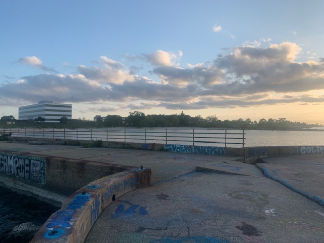 Ponchartrain Beach
