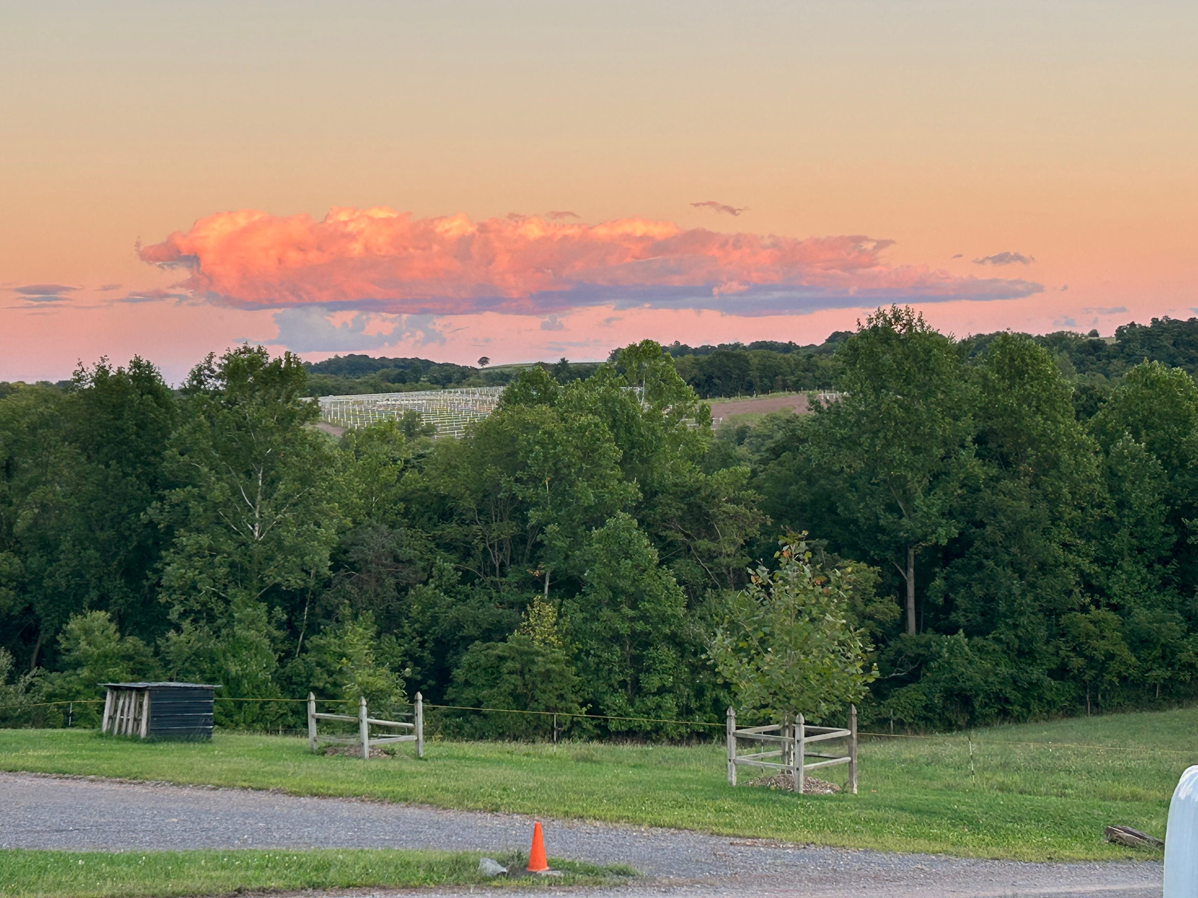 Mahanoy Creek Campground