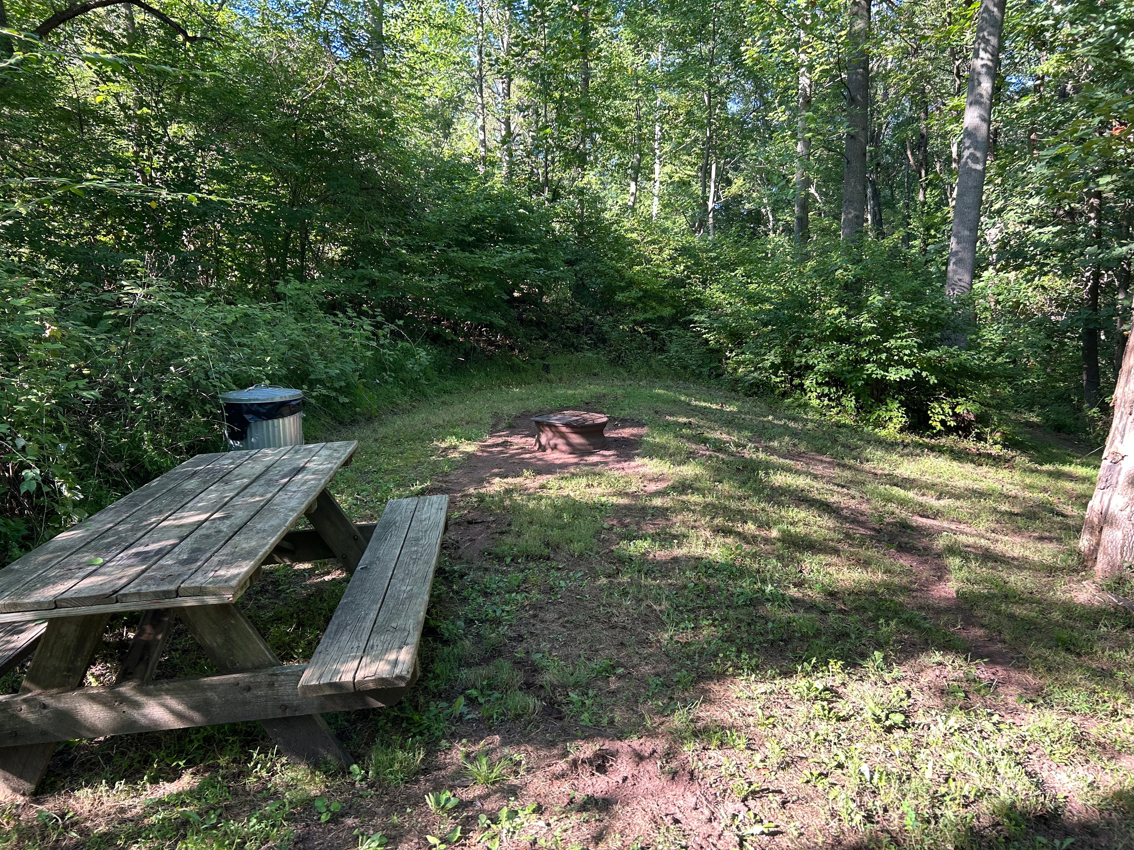 Mahanoy Creek Campground
