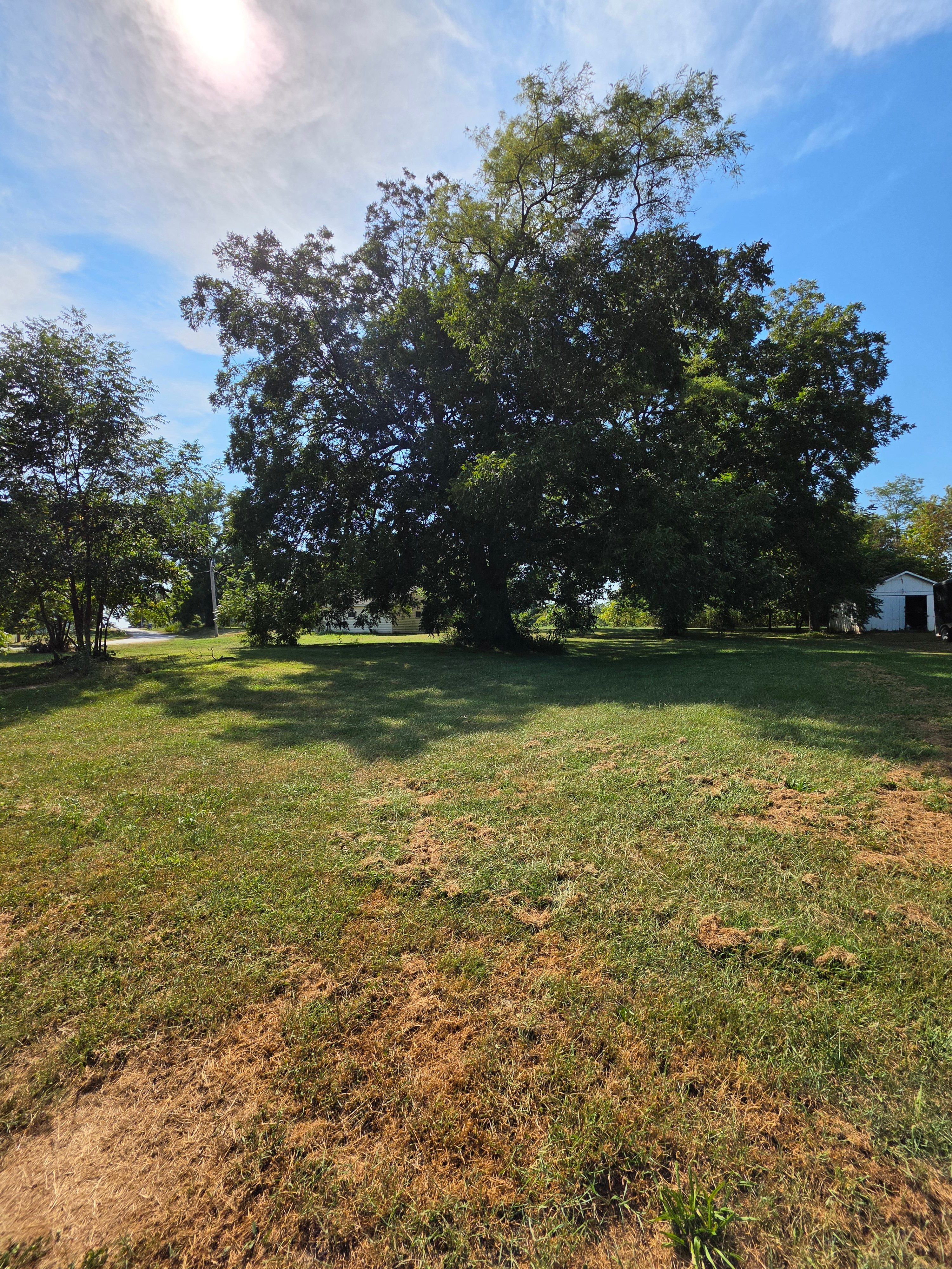 12 Acres in Linneus, MO