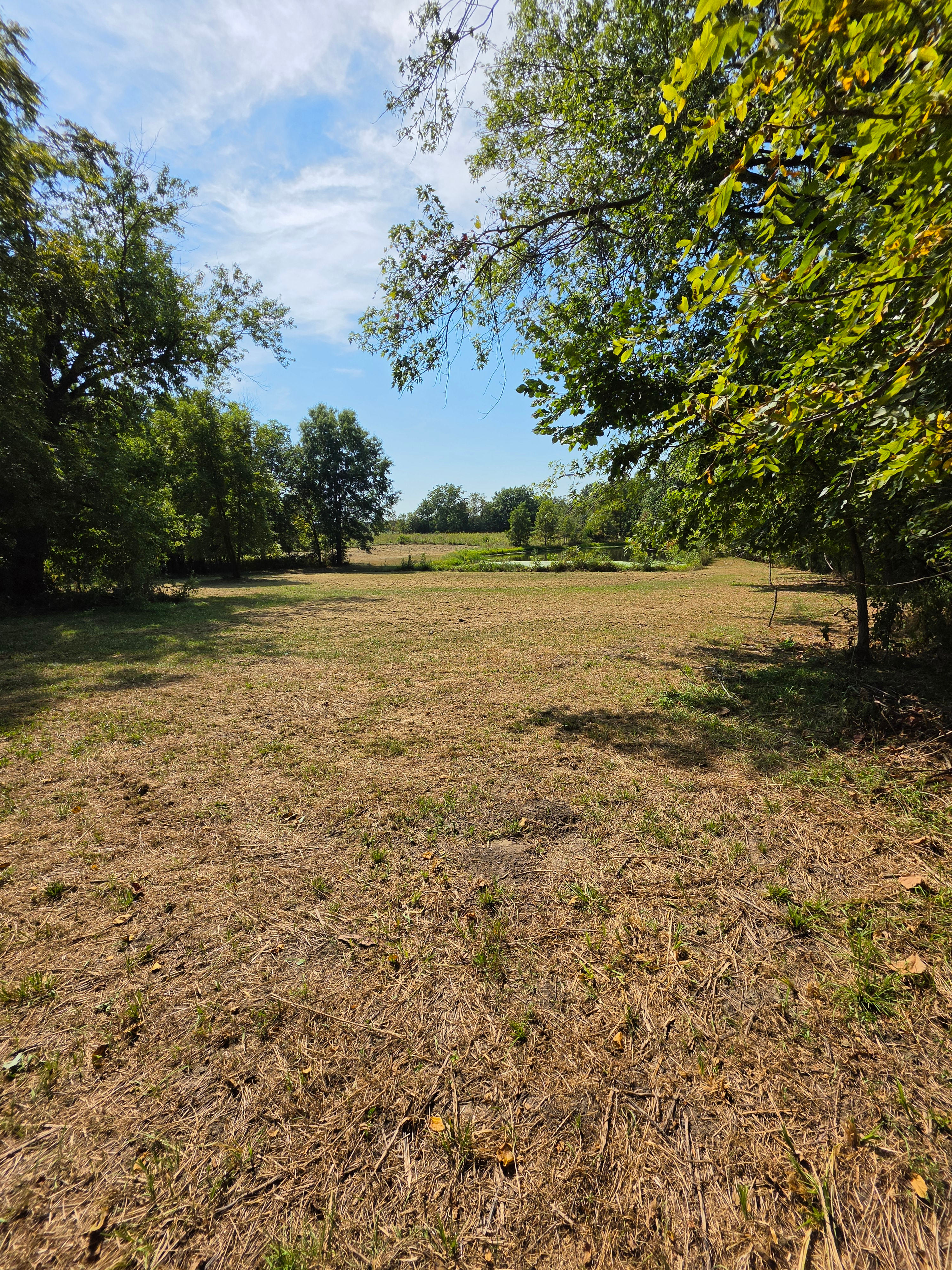 12 Acres in Linneus, MO