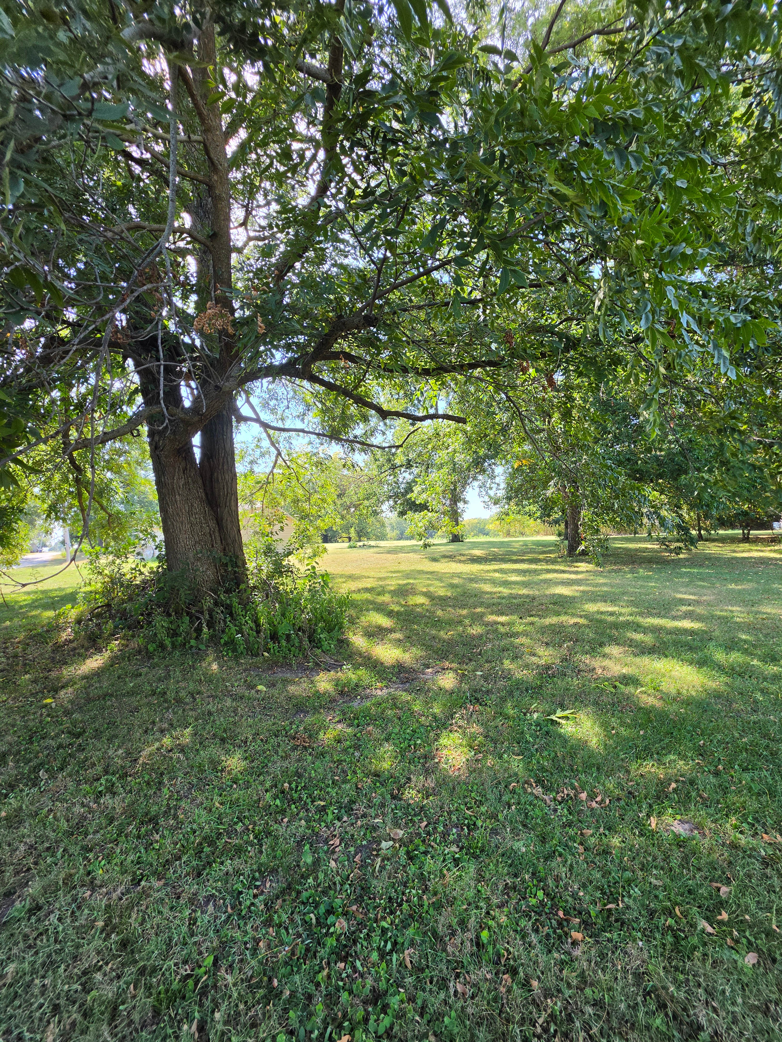 12 Acres in Linneus, MO