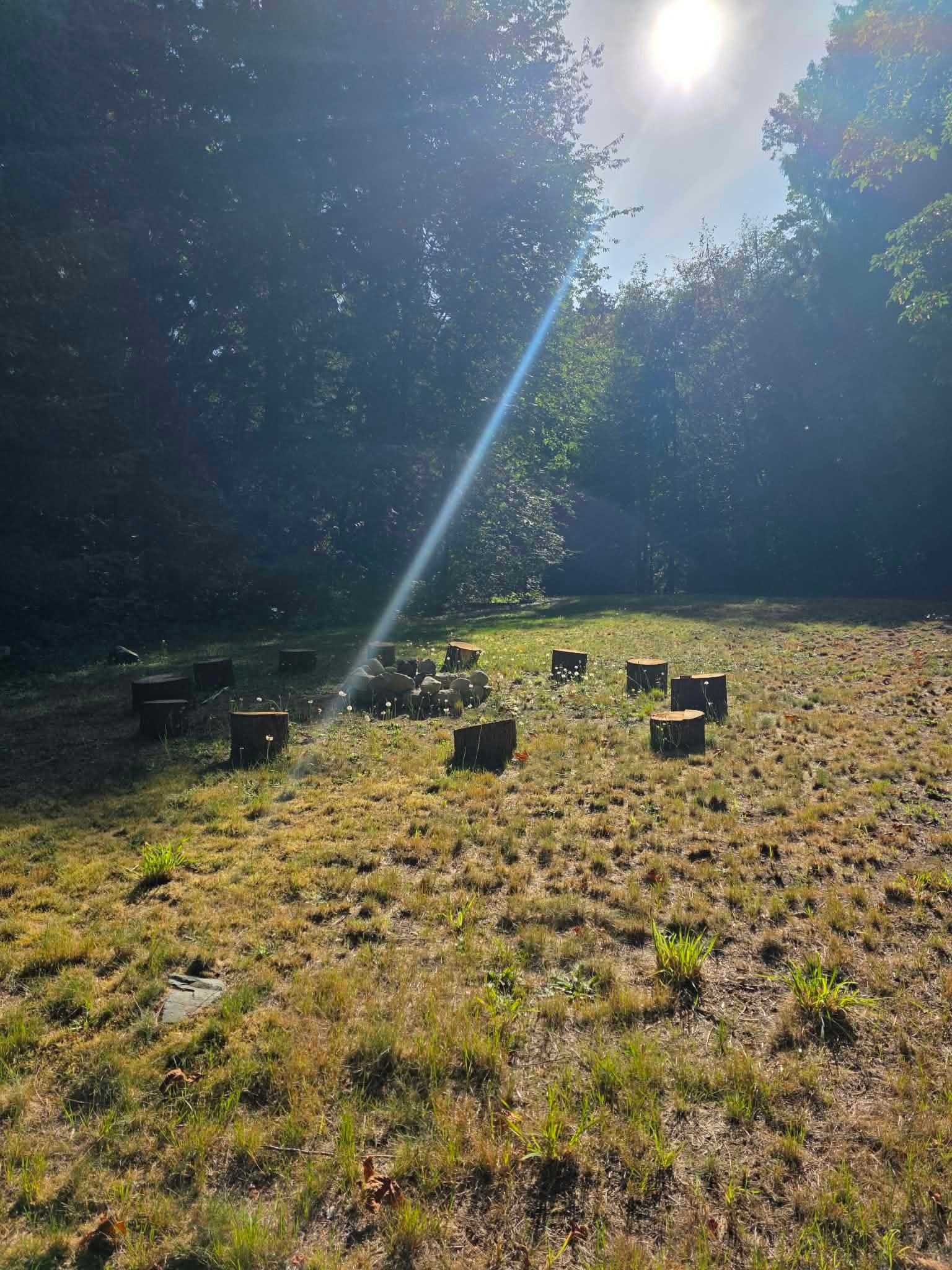 Midsommer Meadows