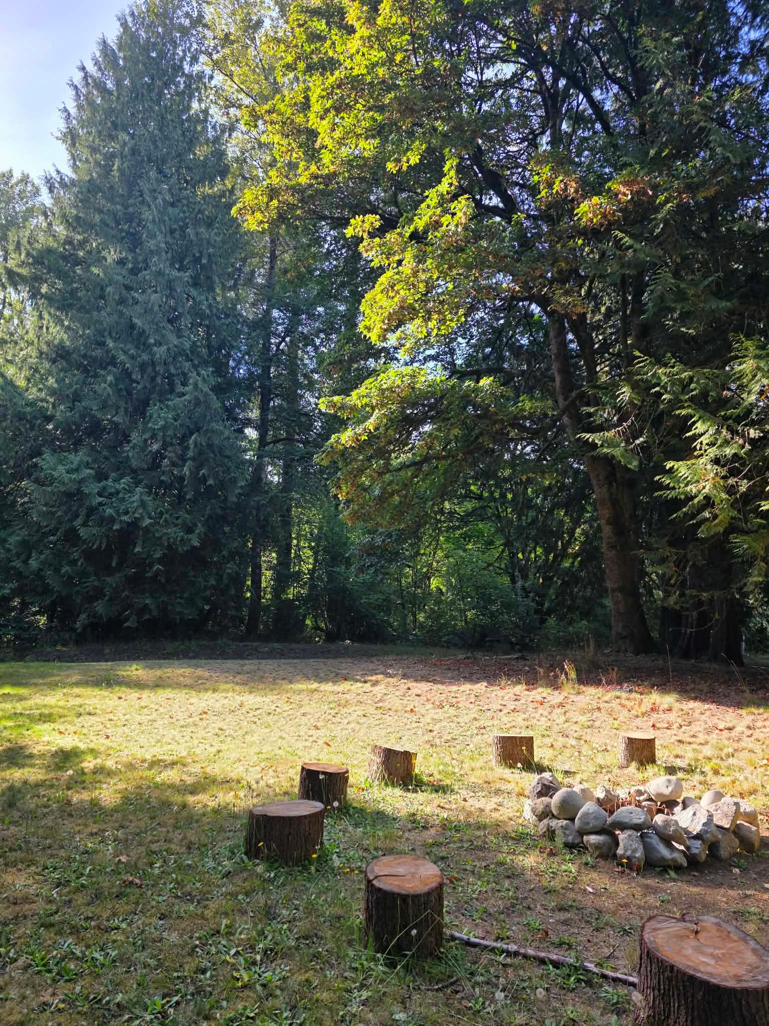 Midsommer Meadows