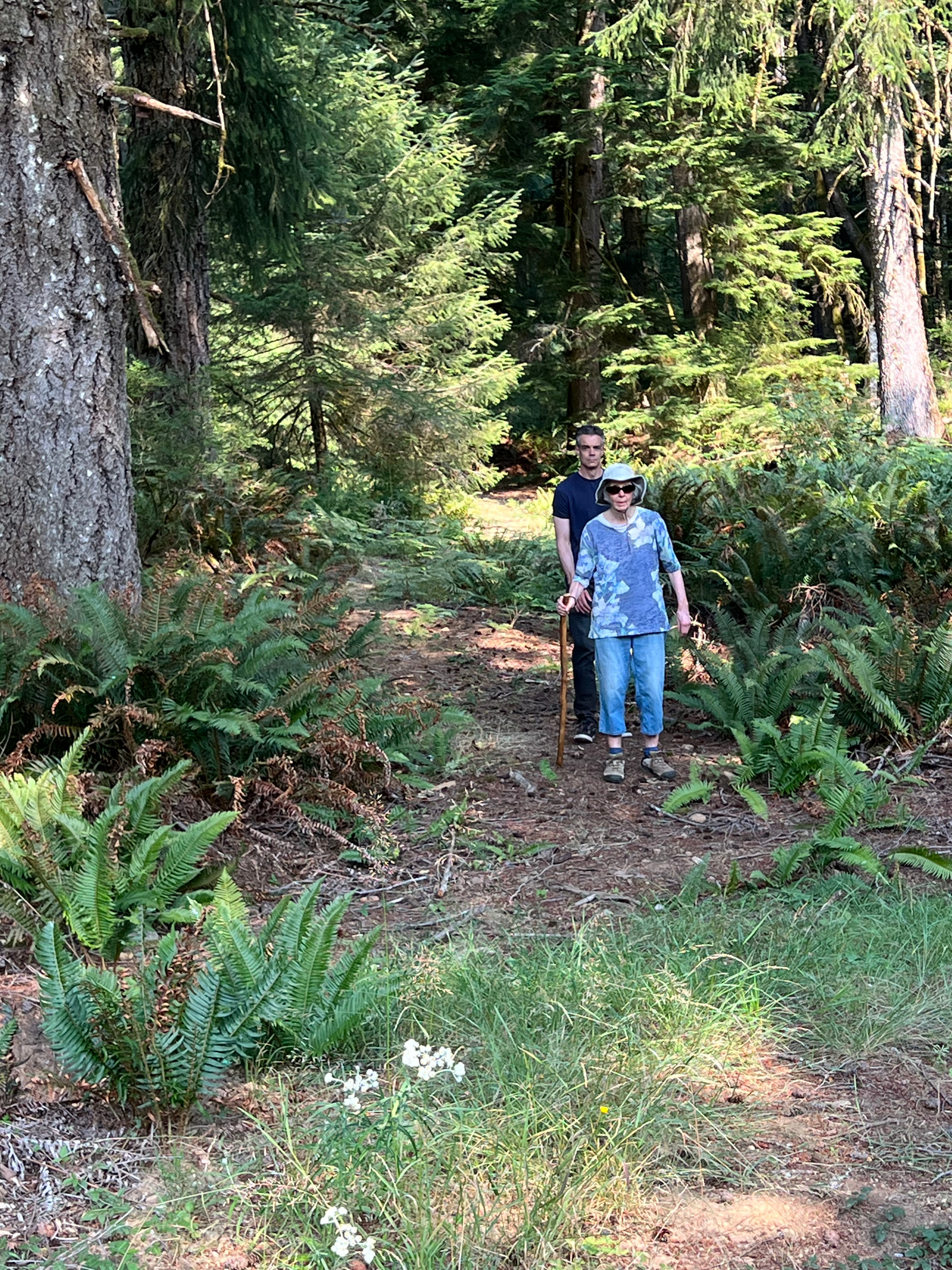 Heartwood Farm and Forest