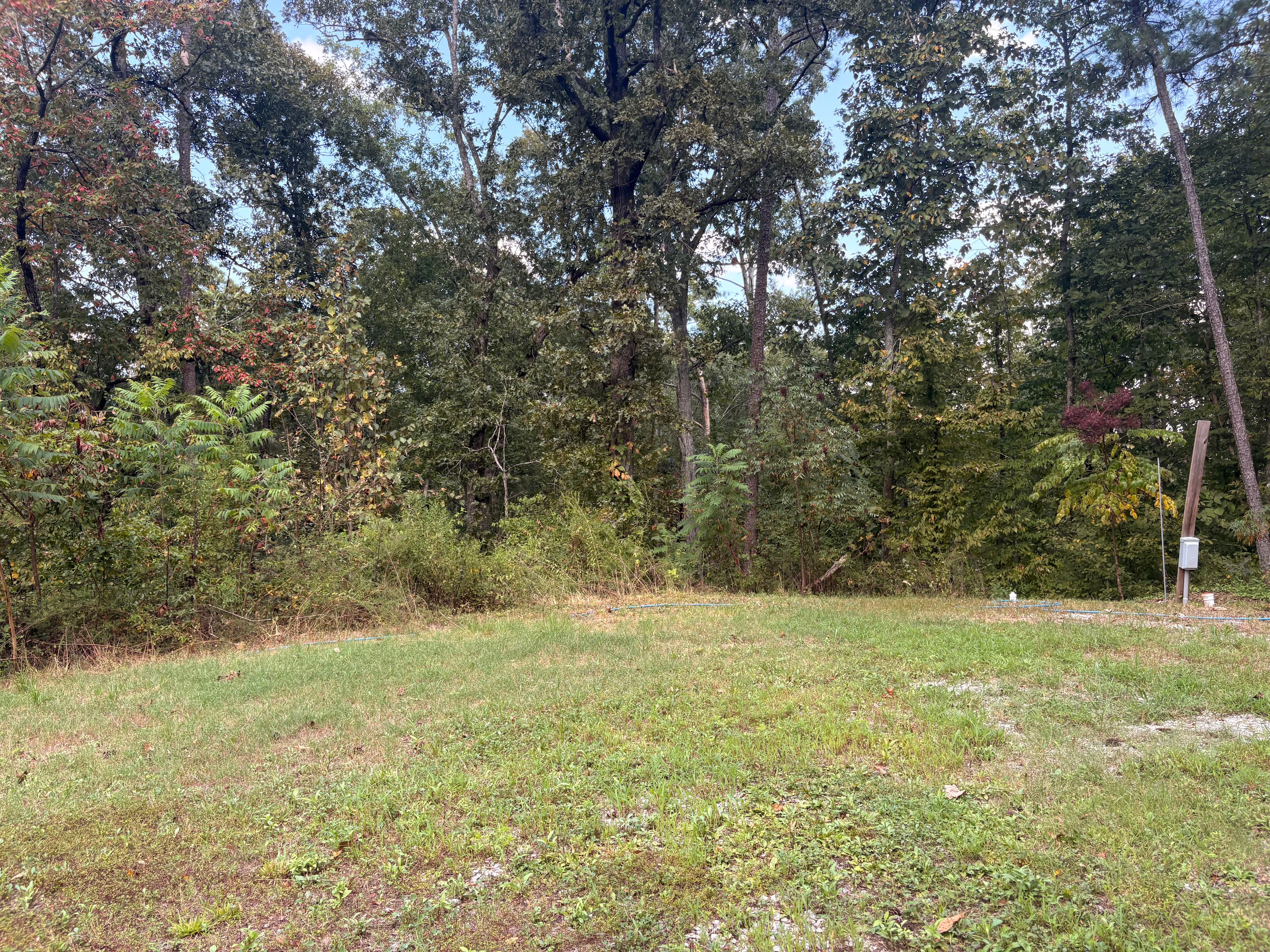 Sarah’s mountain