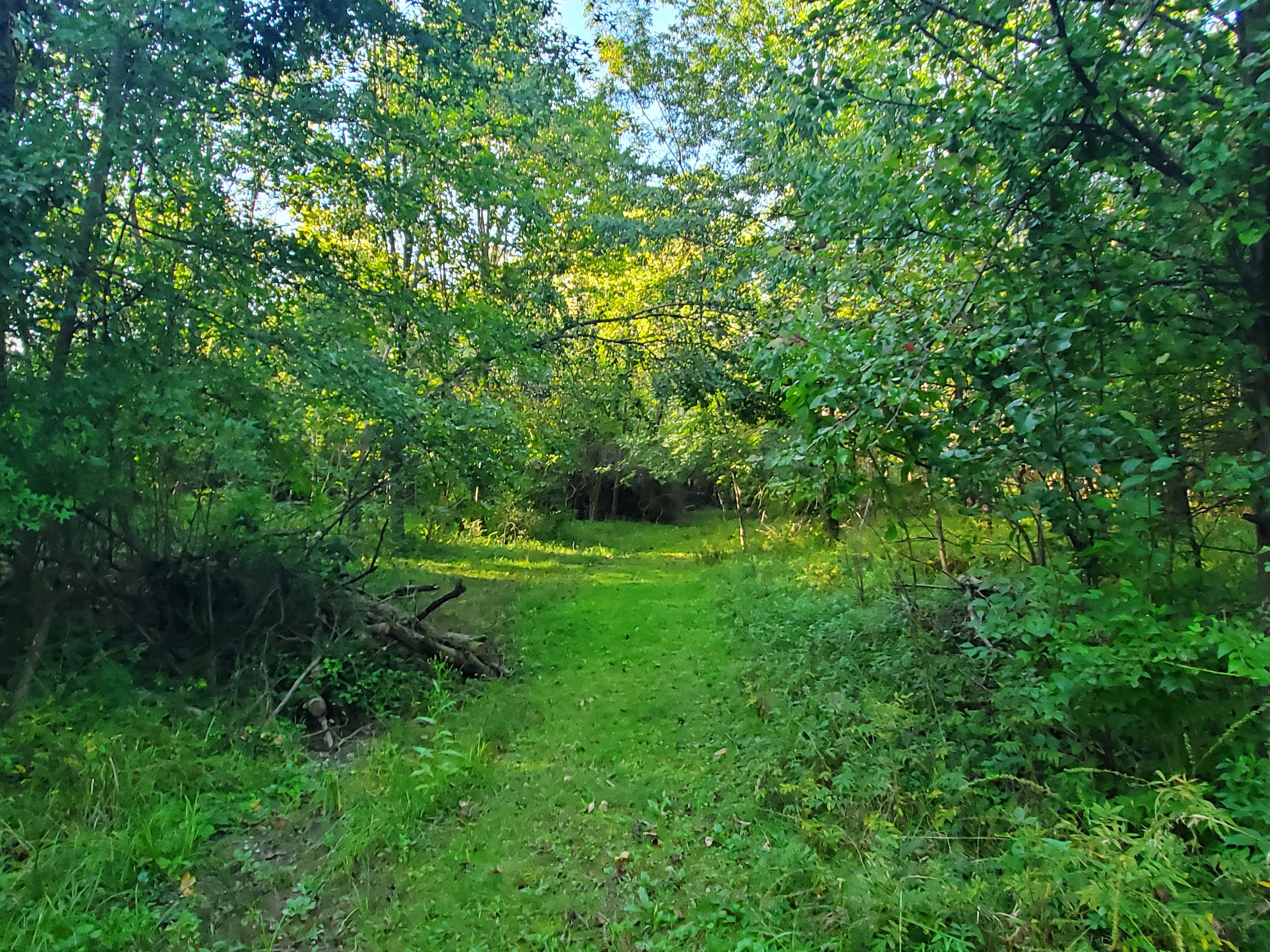 Access to wooded trails
