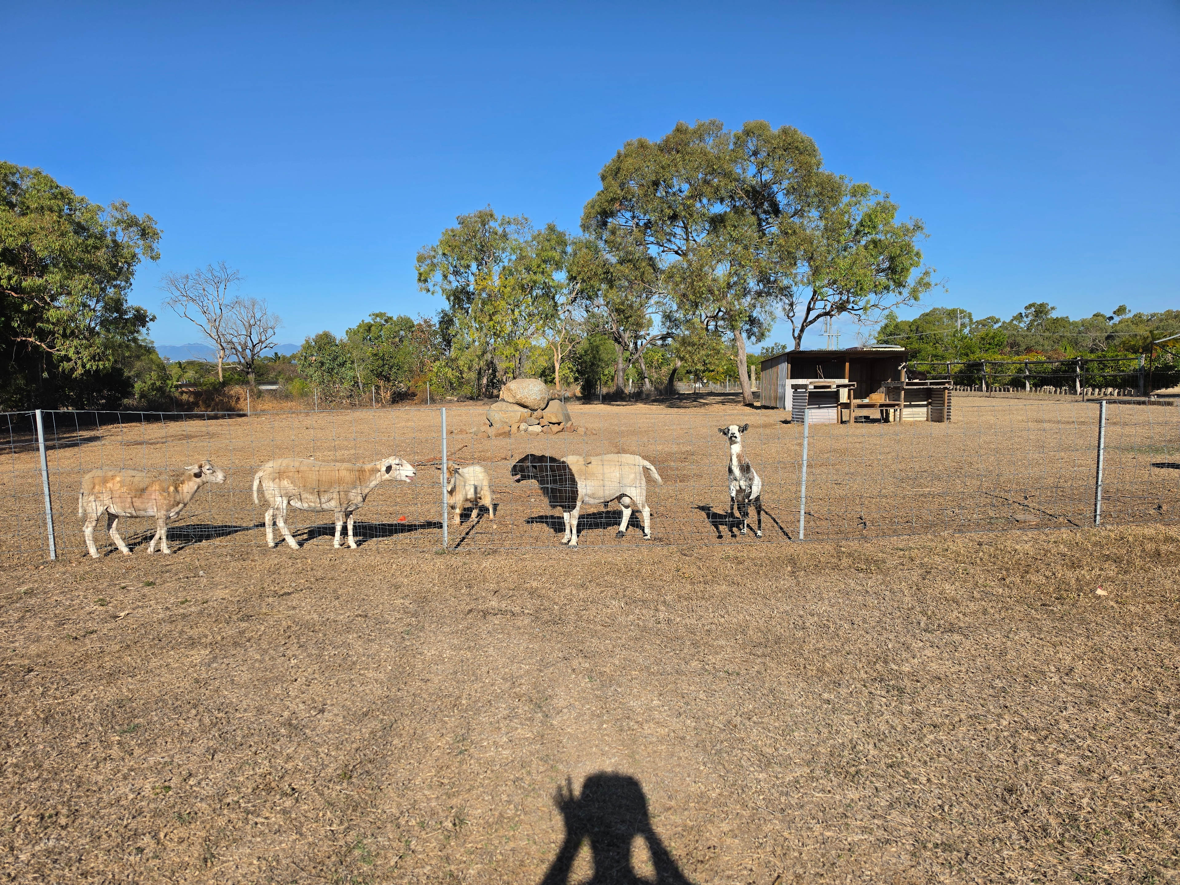 Sunshine Homestead Whitsundays