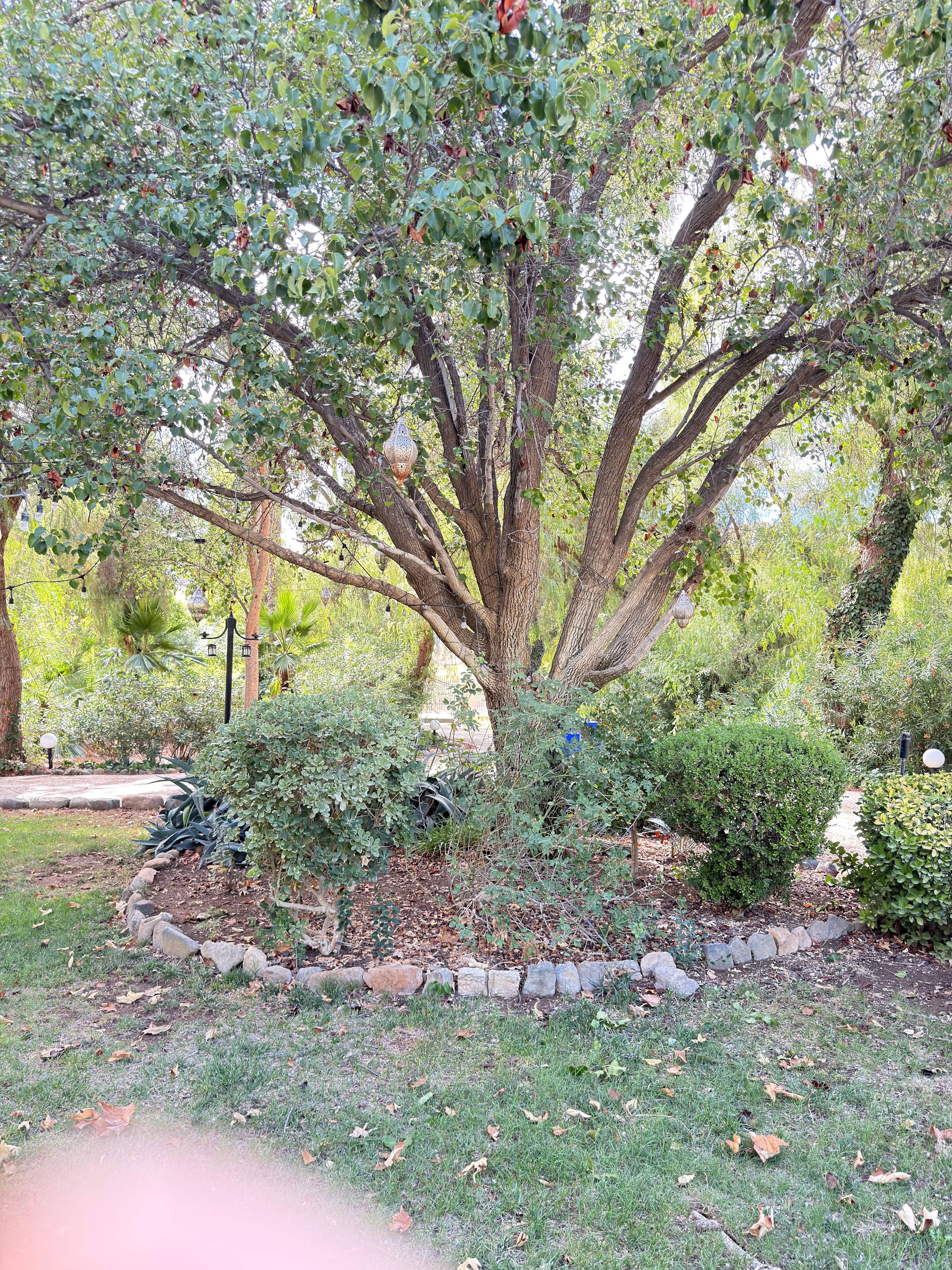 Private Gated Estate