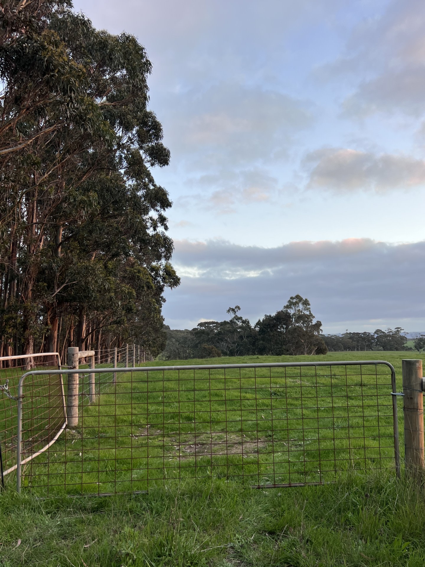 Cloud Ridge Farm