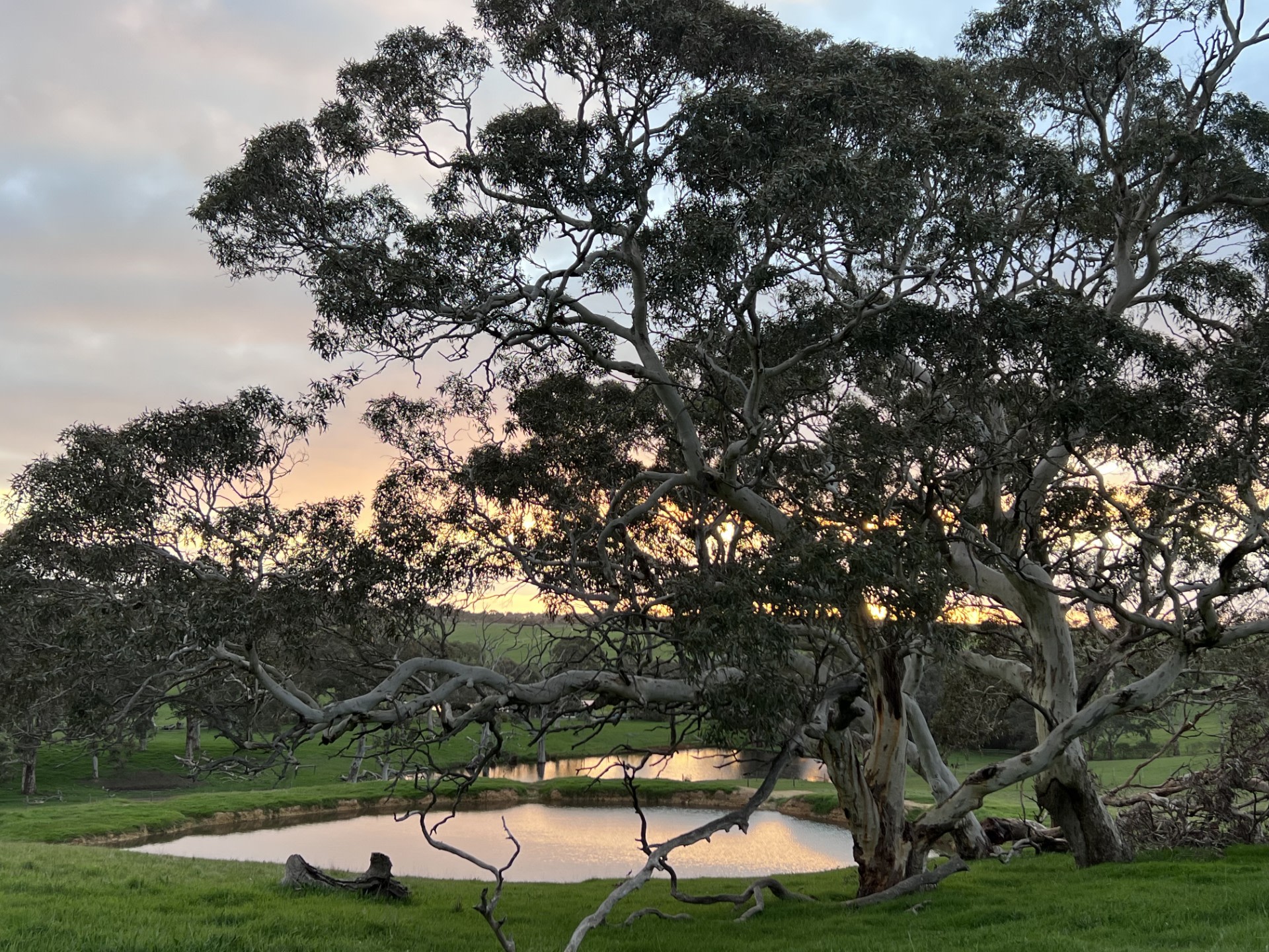 Sunset overlooking our dam