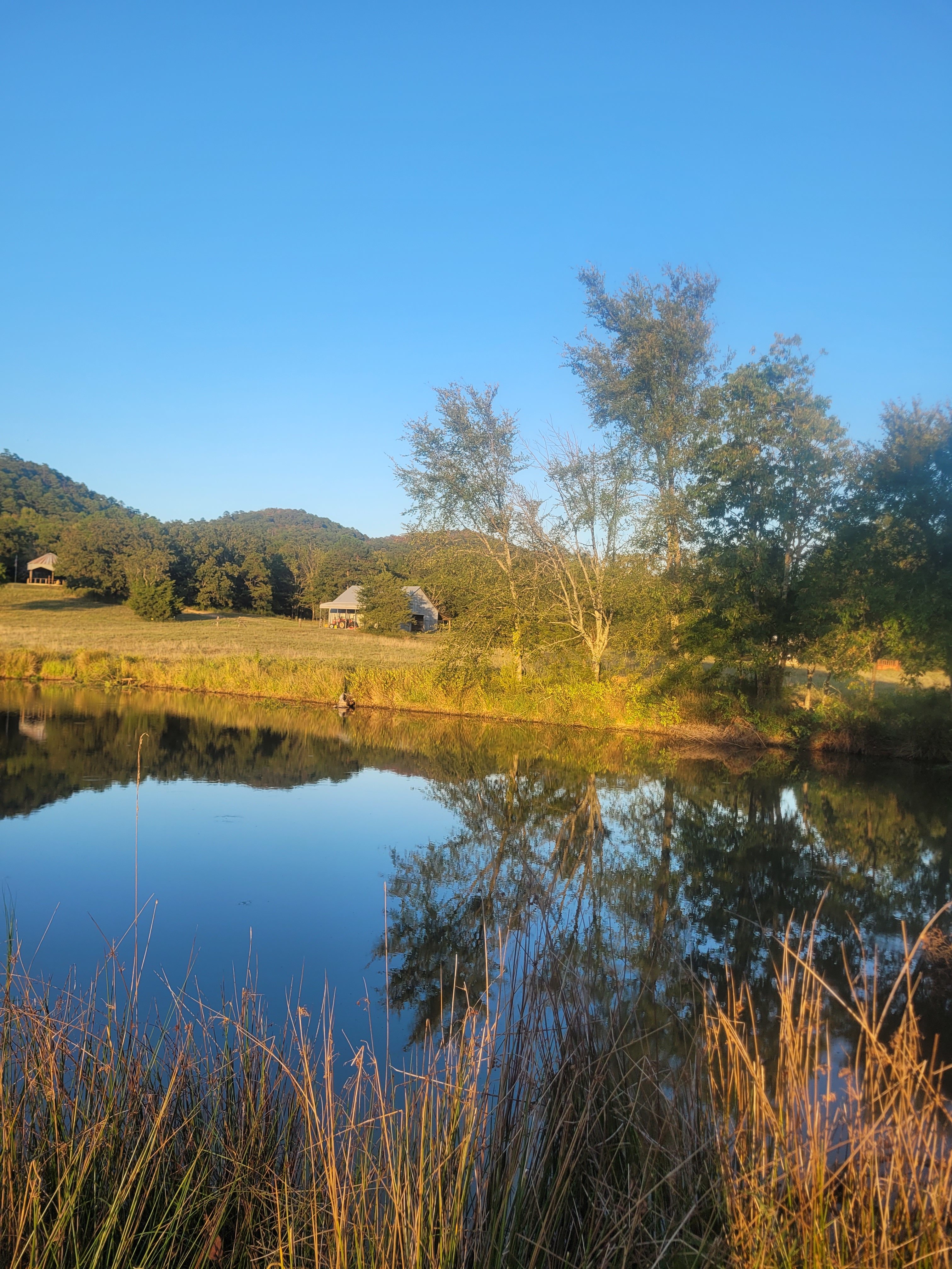 Ouachita's Meadow Retreat
