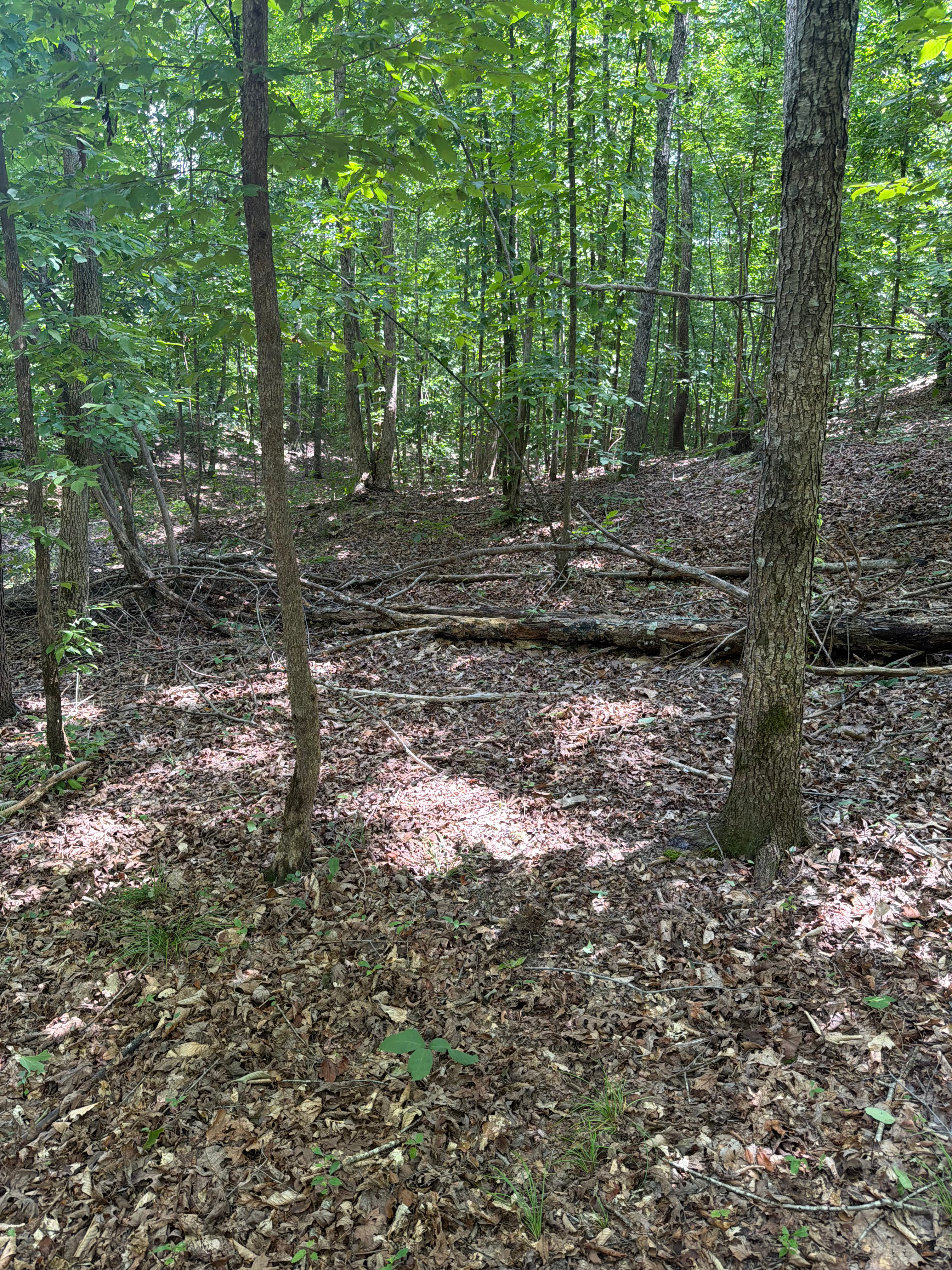 Whisky Ridge RV Lot