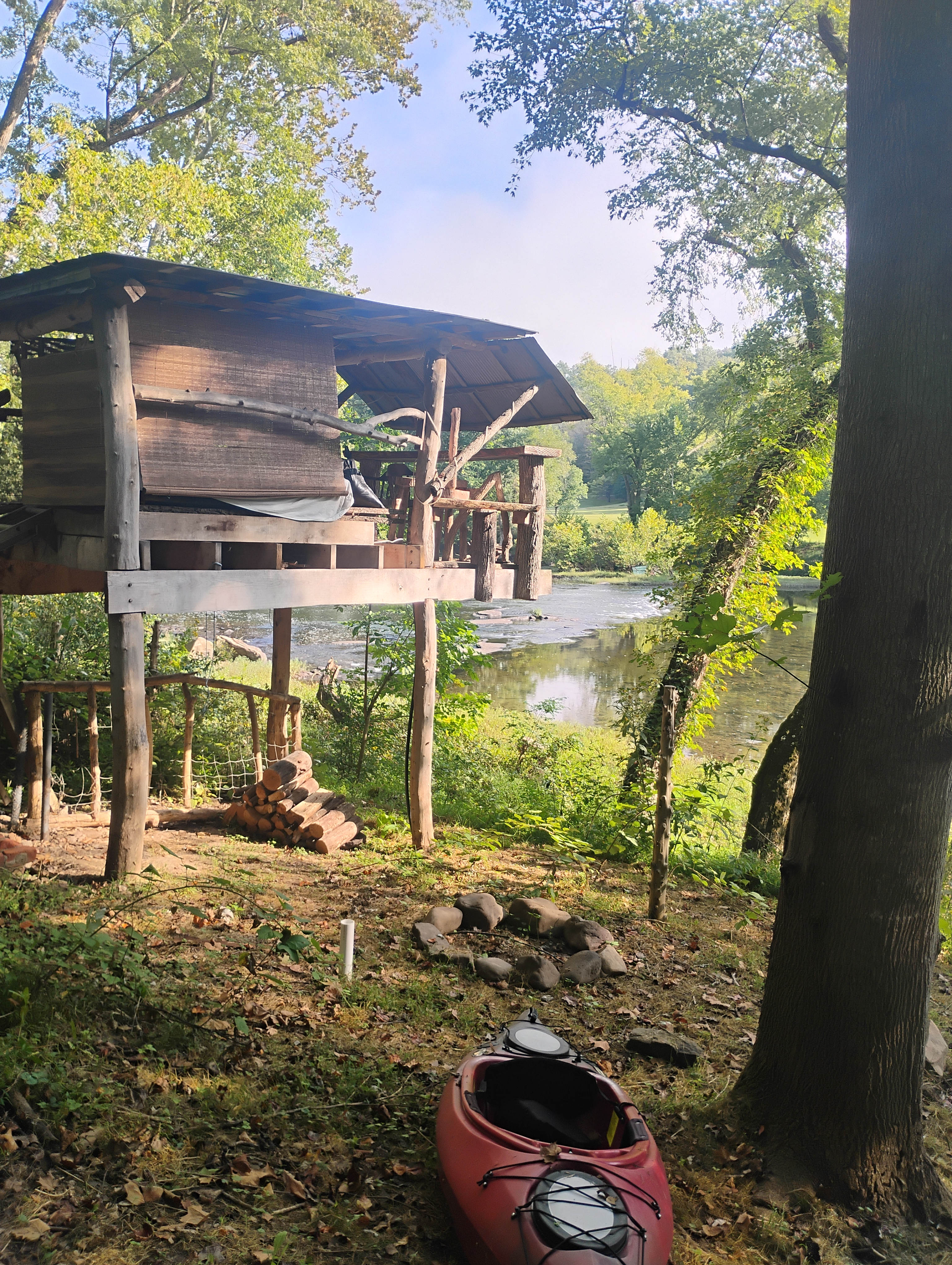Rewild Wilder at Willowwood