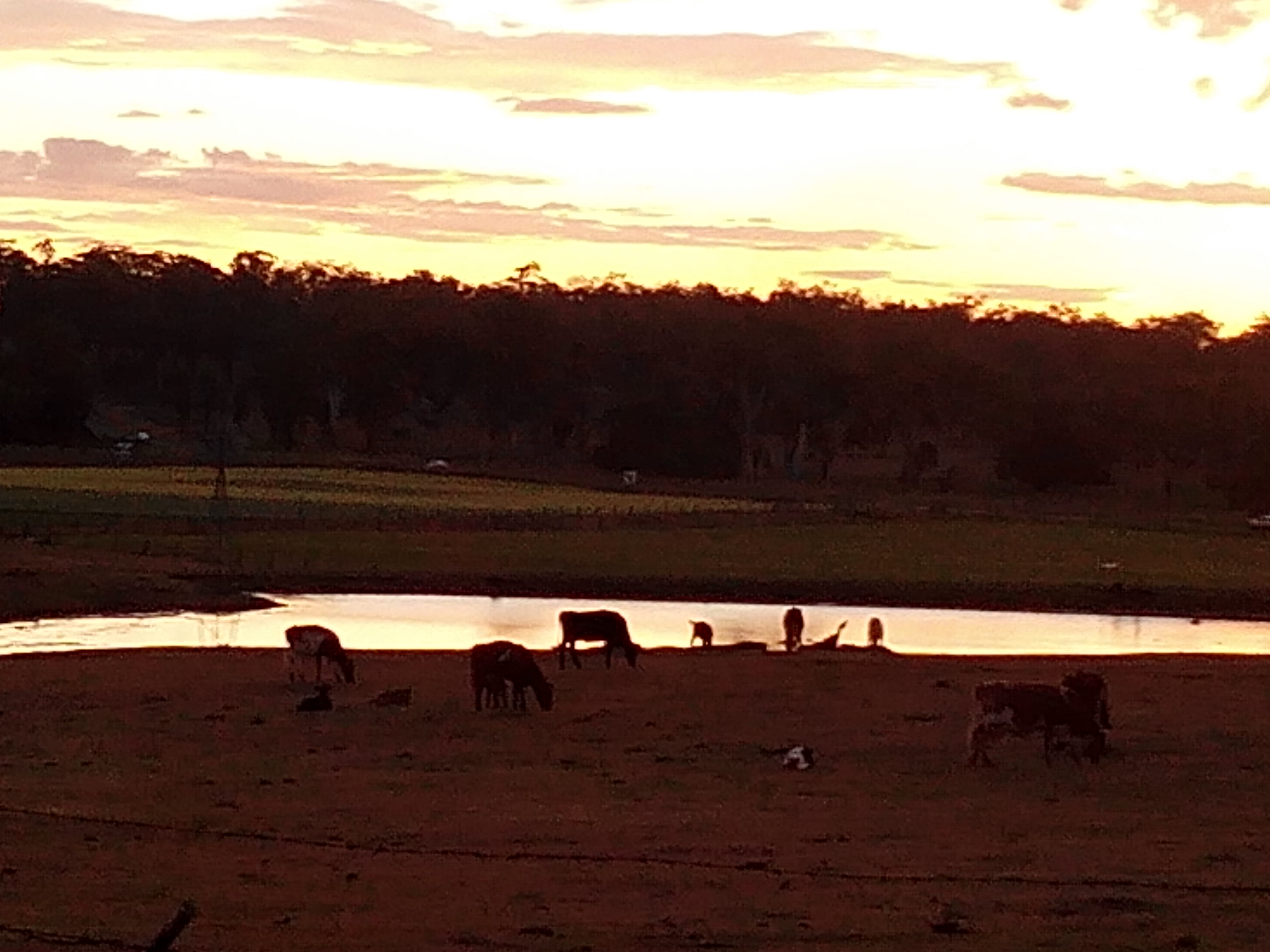Sunset over the dam
