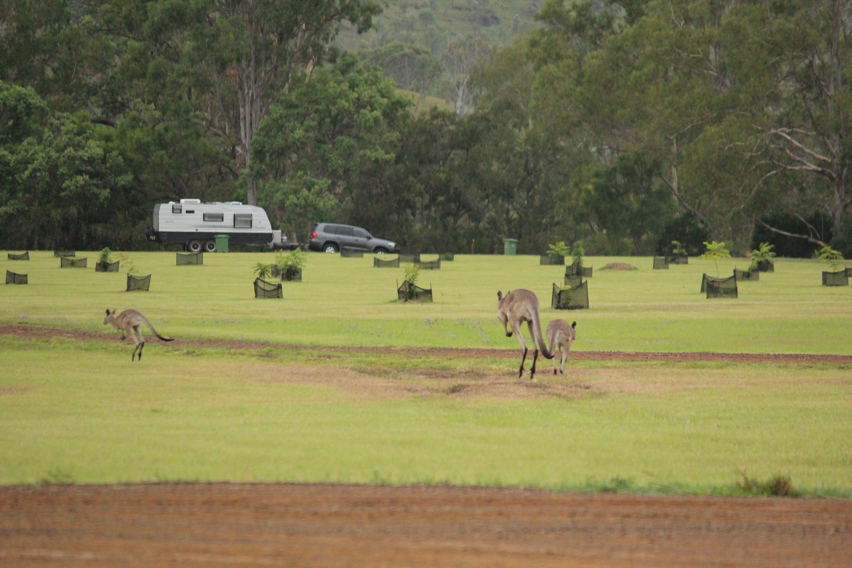 Goomeri Caravan and Bush Camp
