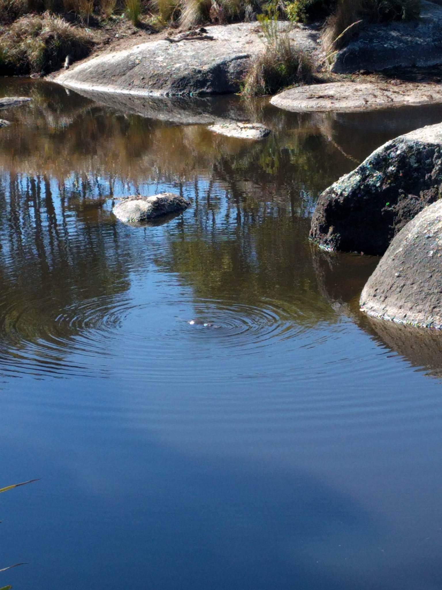 Photo credit to Em Martignago