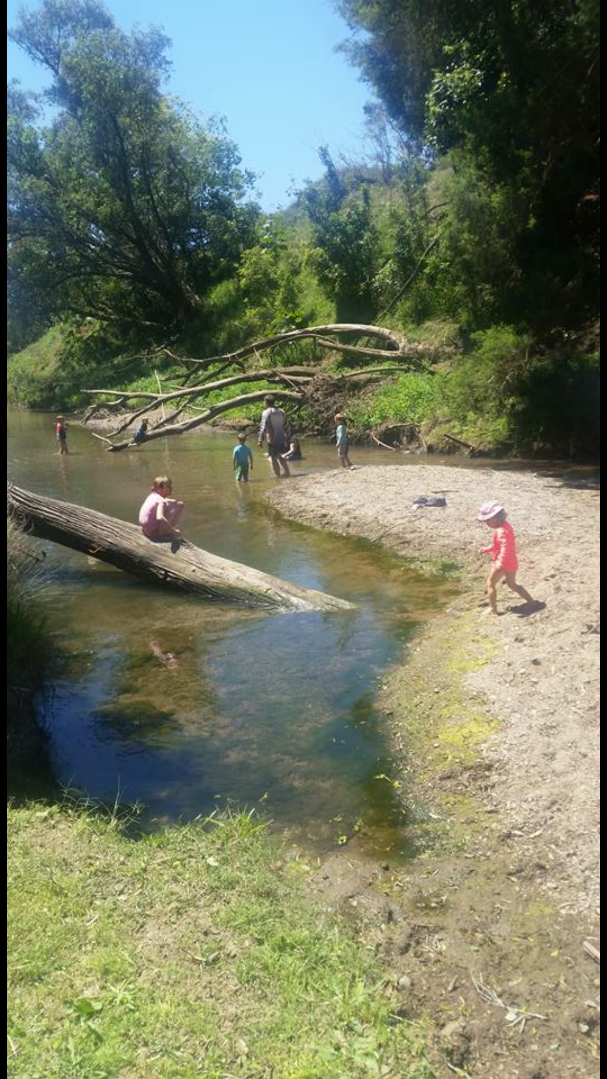 Fun in the river with the kids