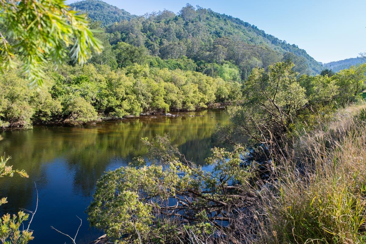 Knorrit Flat Riverside Camp