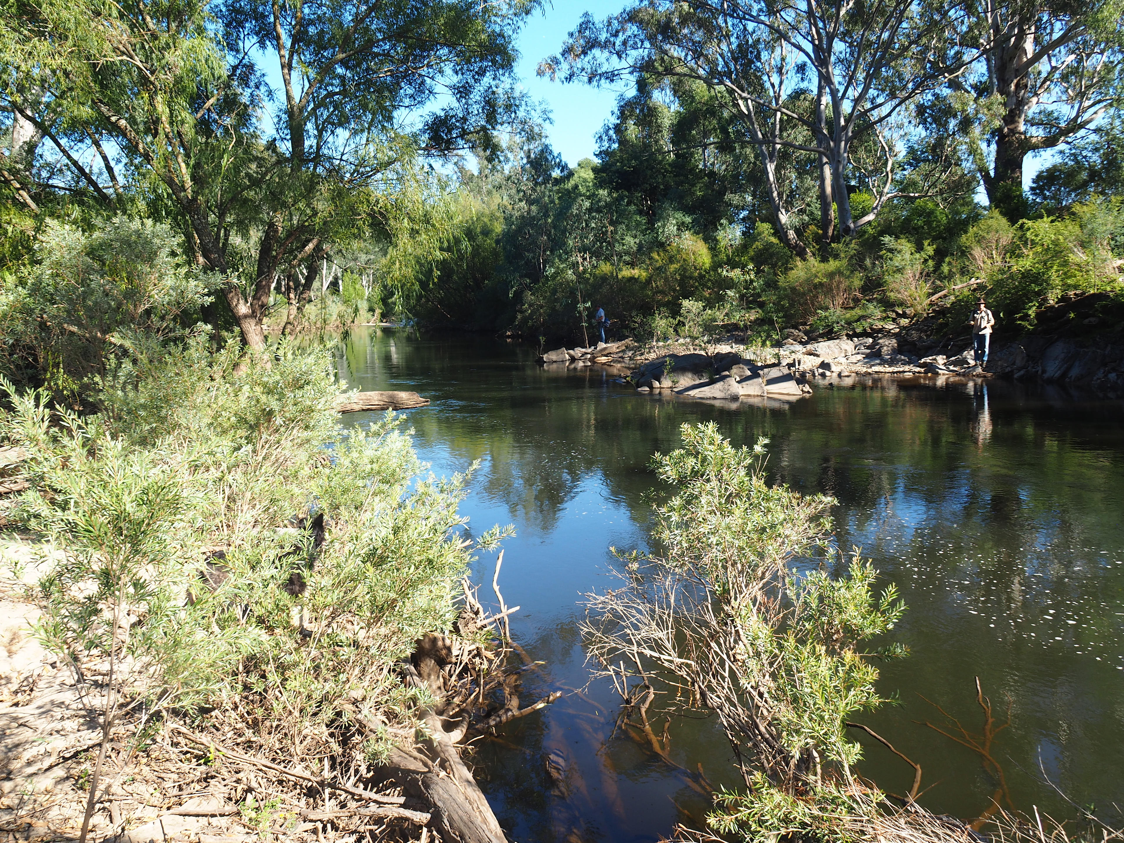Buffalo River Retreat