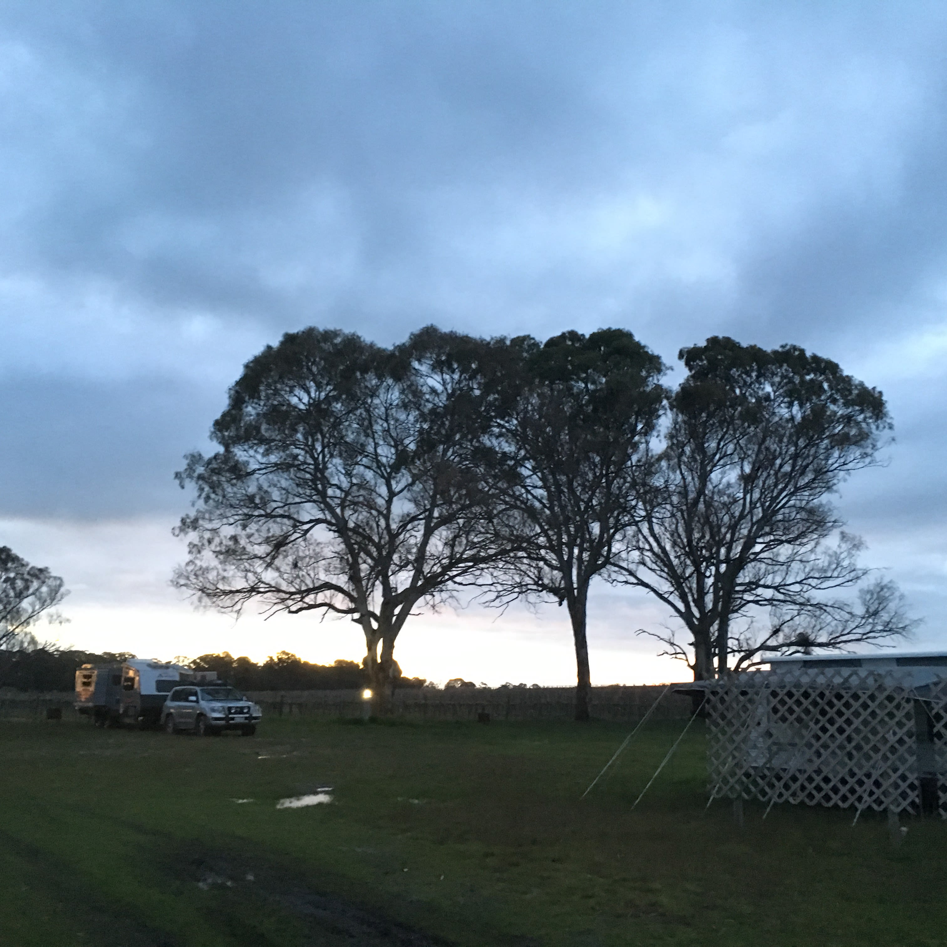 Coonawarra Bush Holiday Park