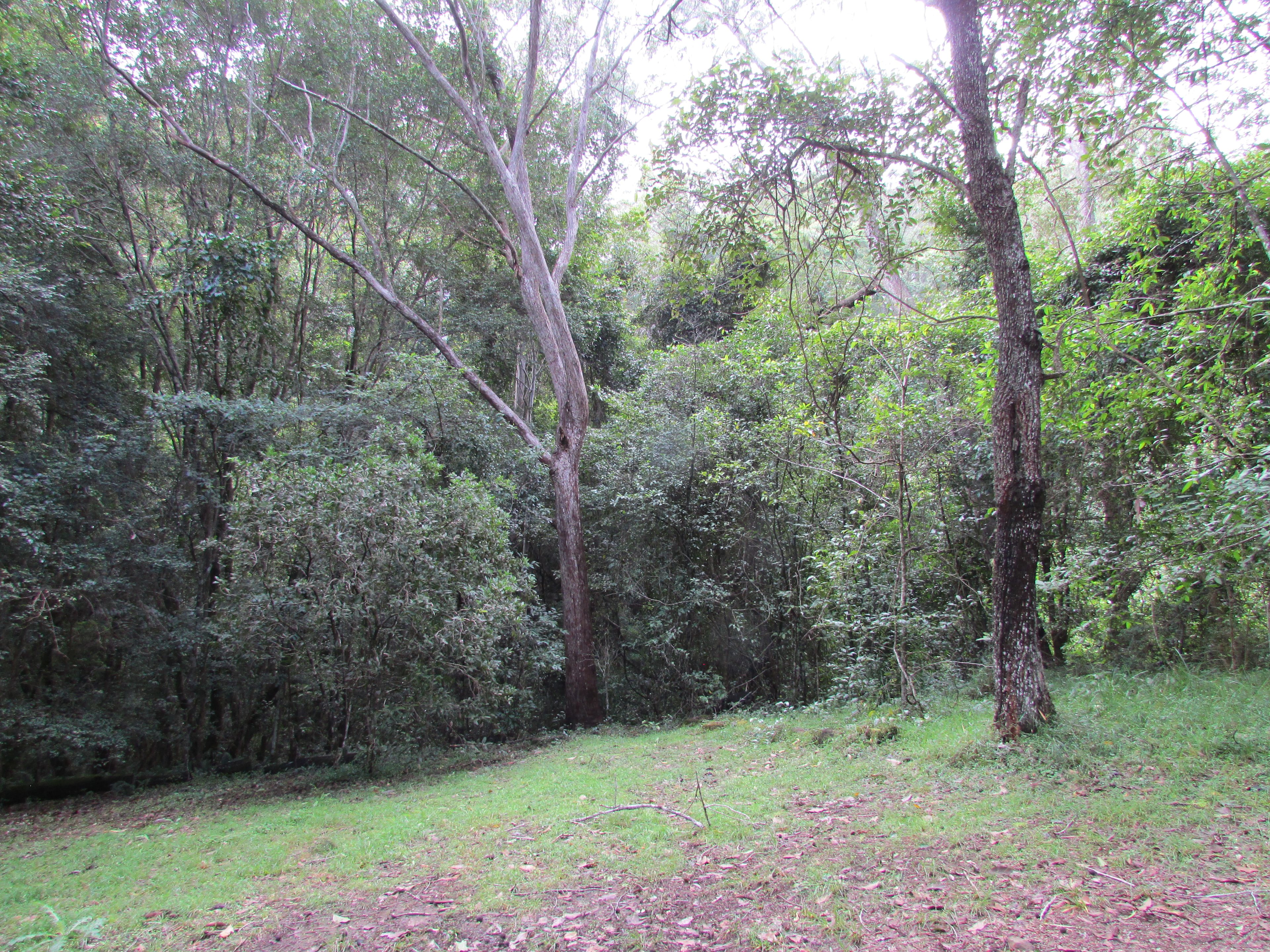 Black Mountain Nature 4WD/AWD only