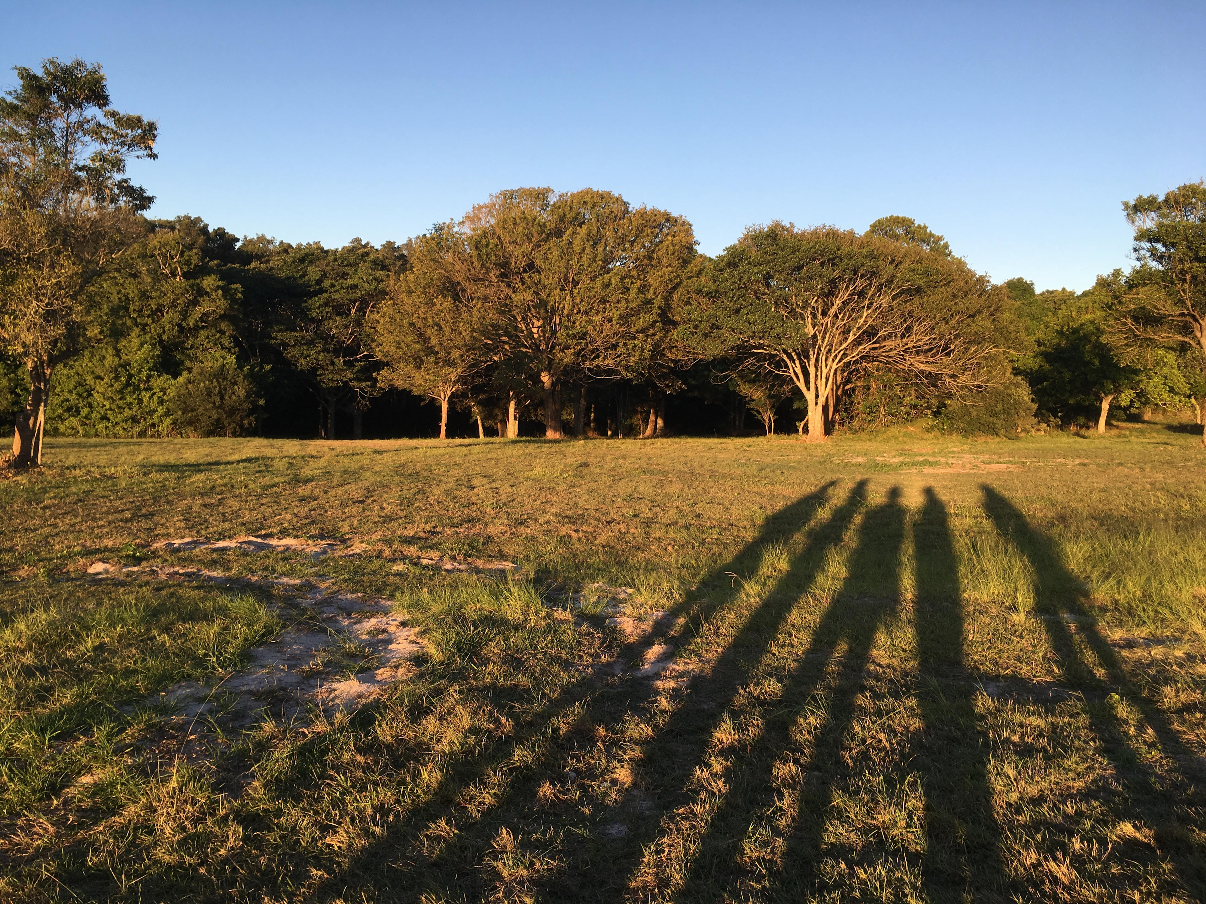 Looking over the property 