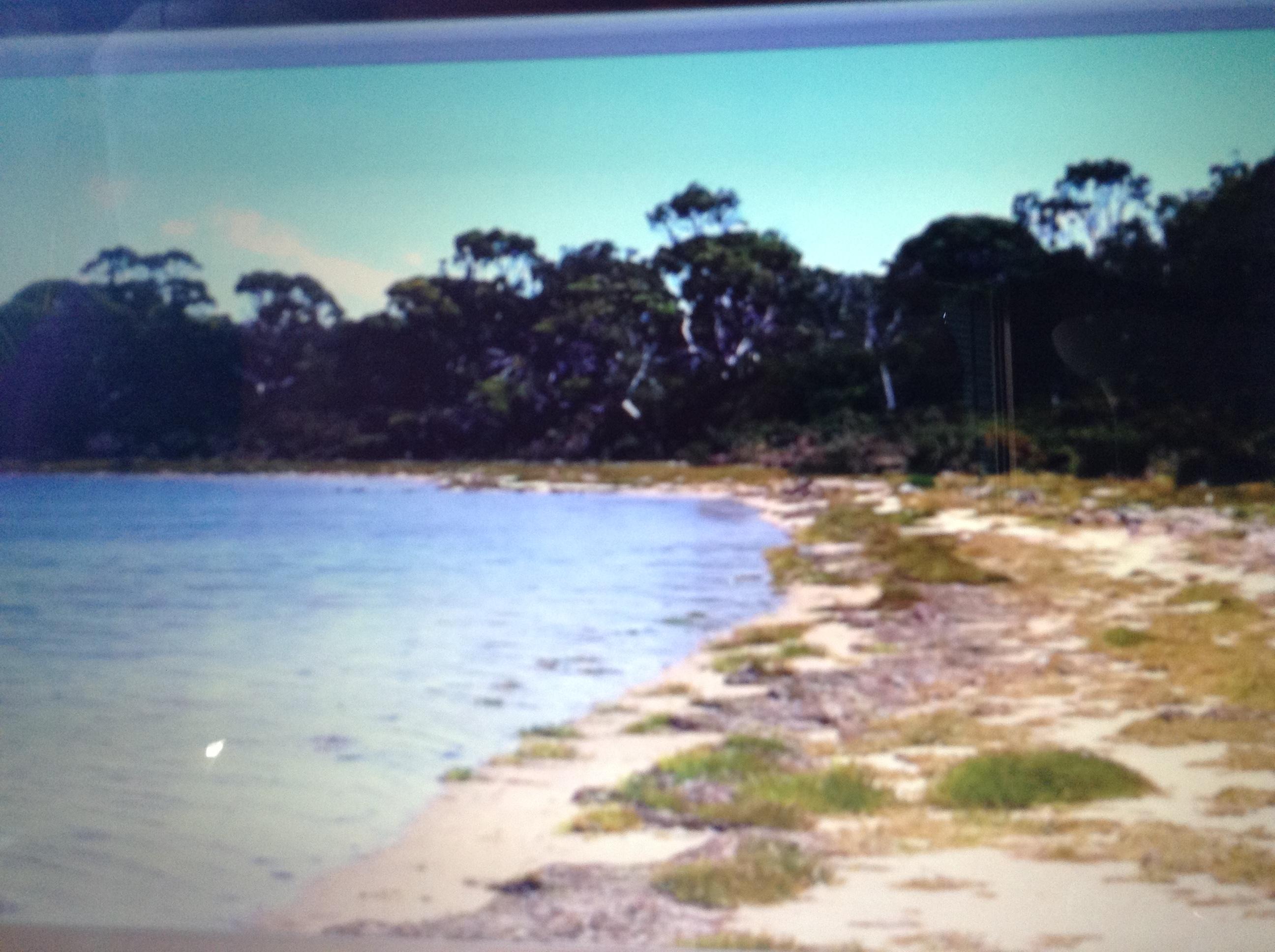 The waters edge