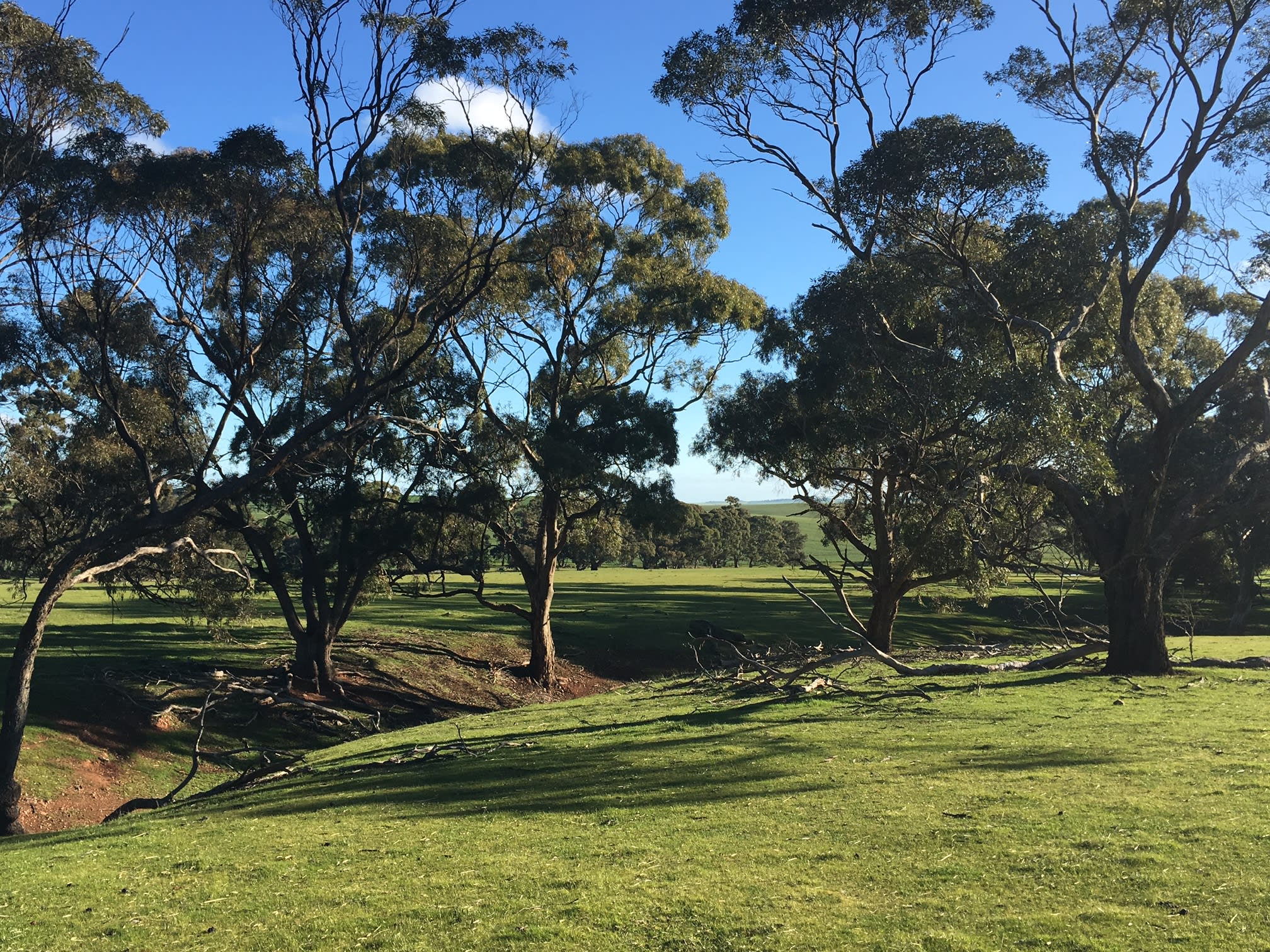 Edgehill Farm Stays Riverton