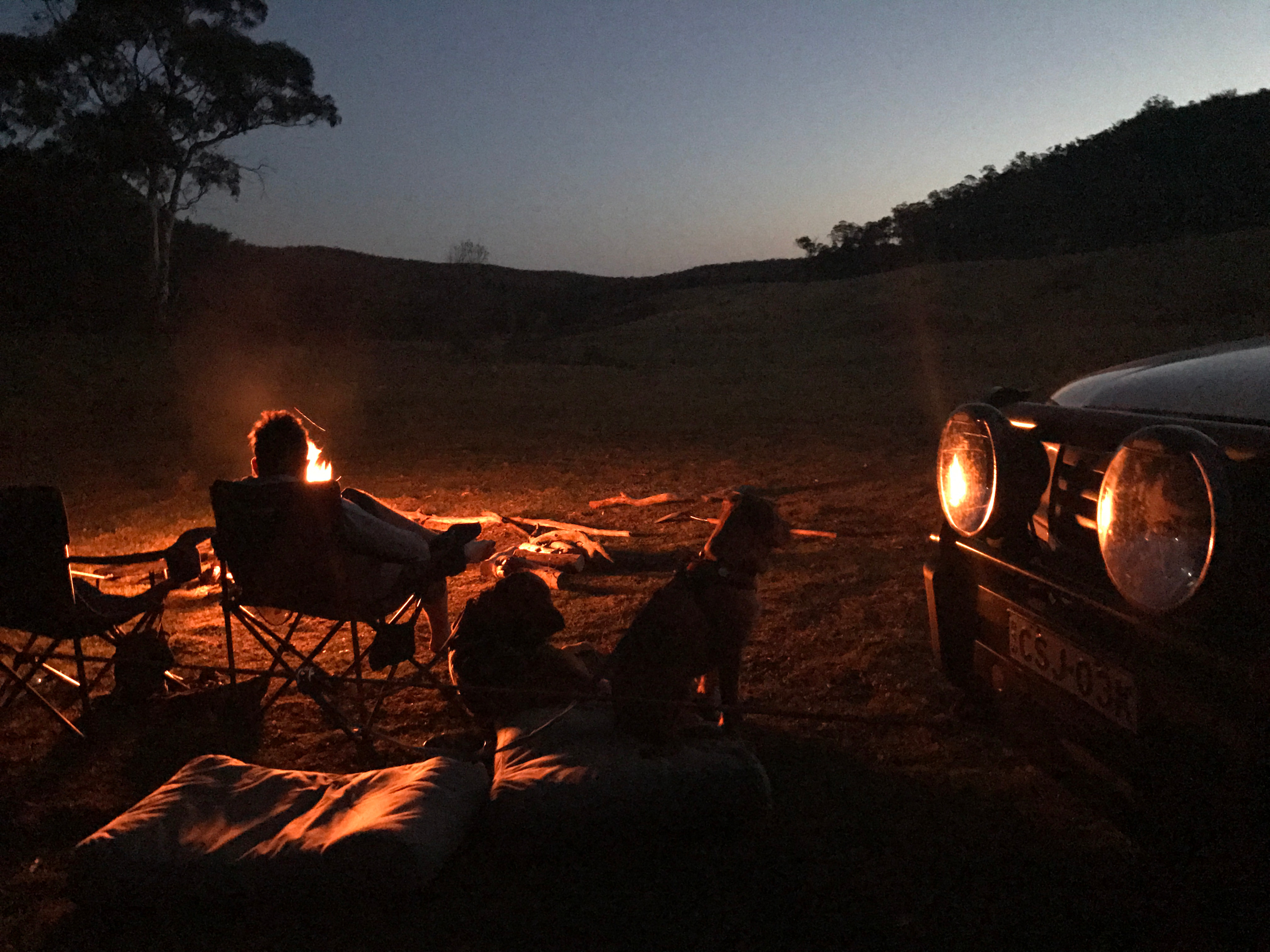 Happy dogs and happy campers after a day of walks and nature therapy 