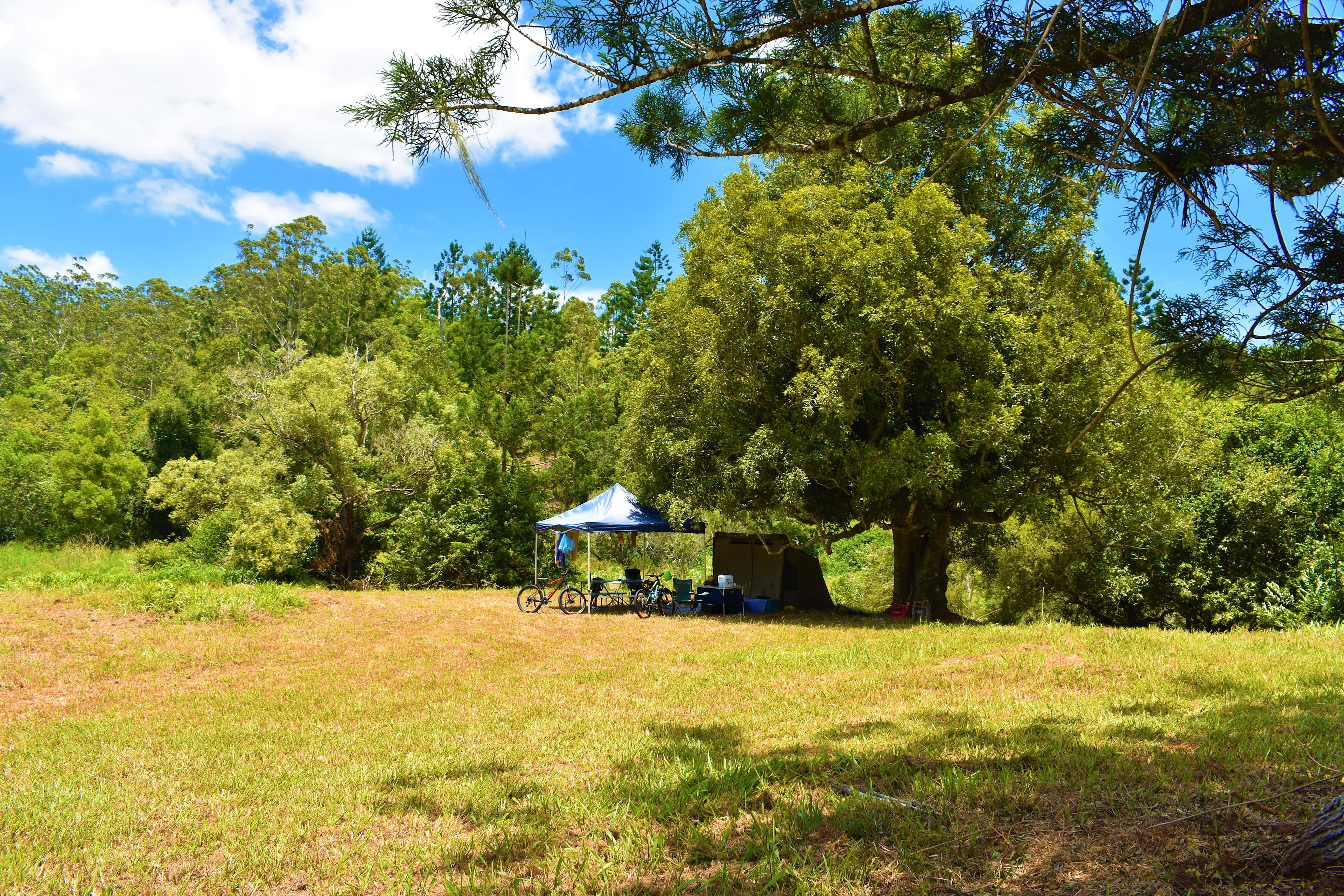 Turtle Duck Pond Camp