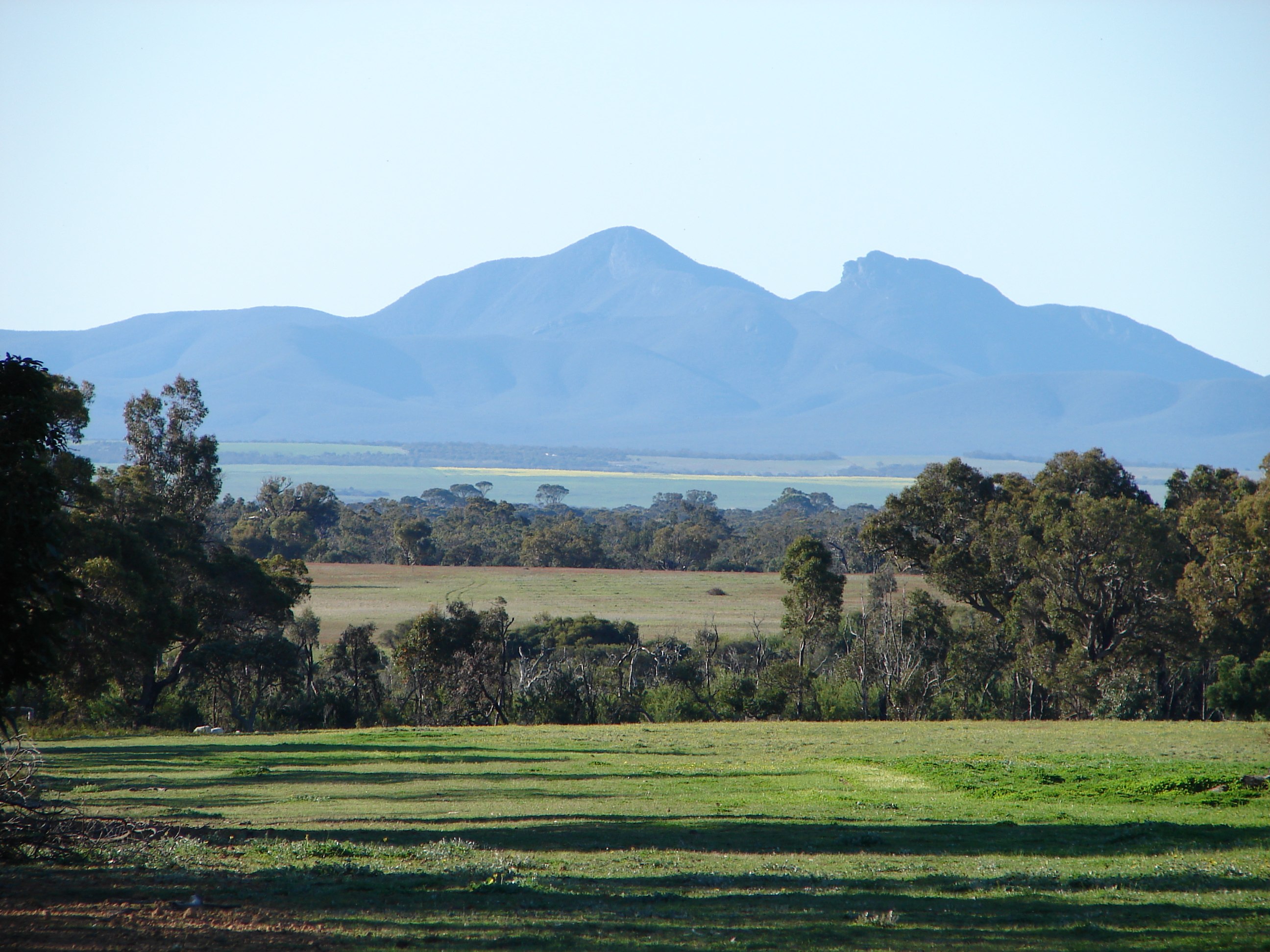 Stirlings Sleeping Lady