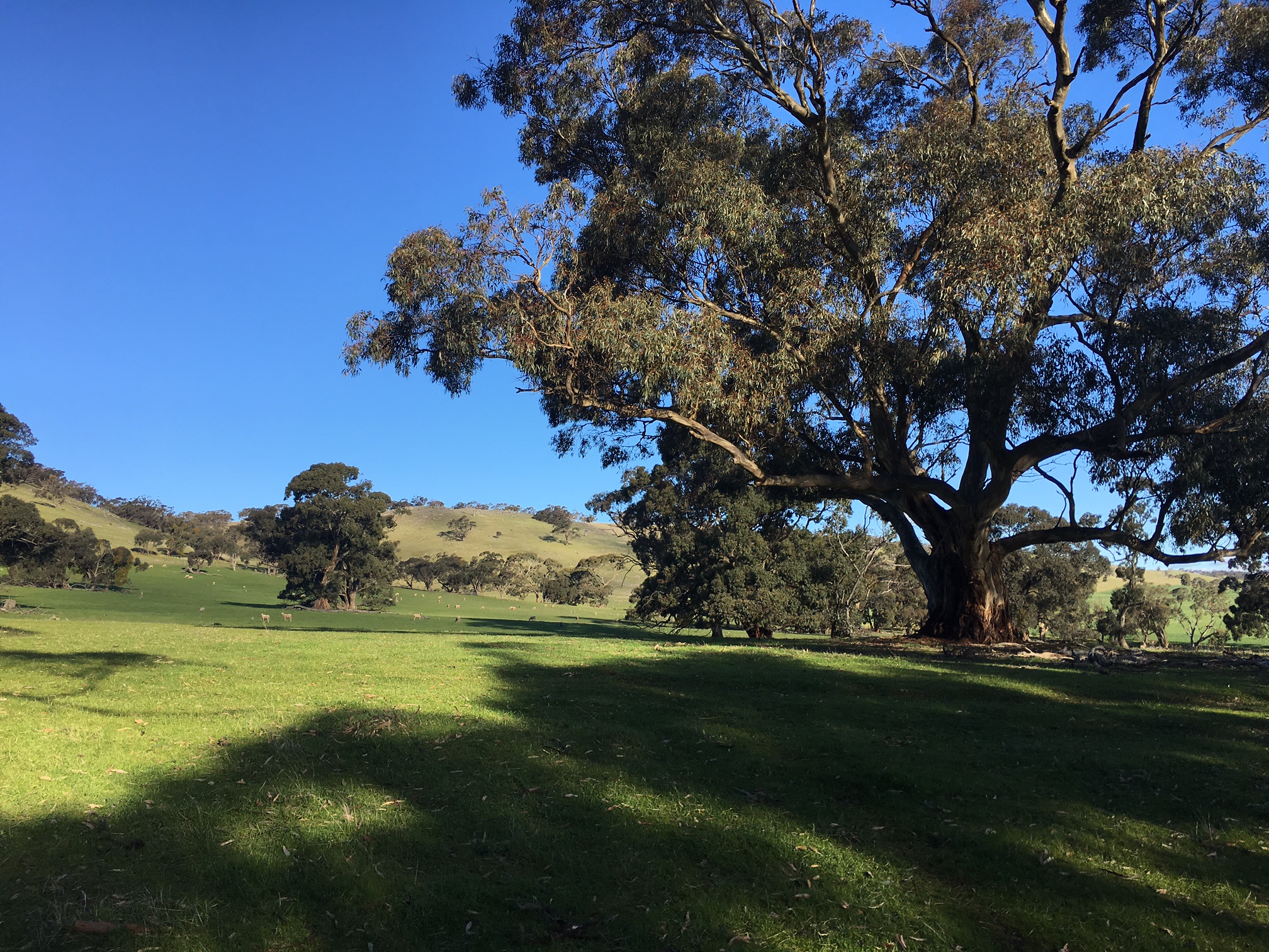 Edgehill Farm Stays Riverton